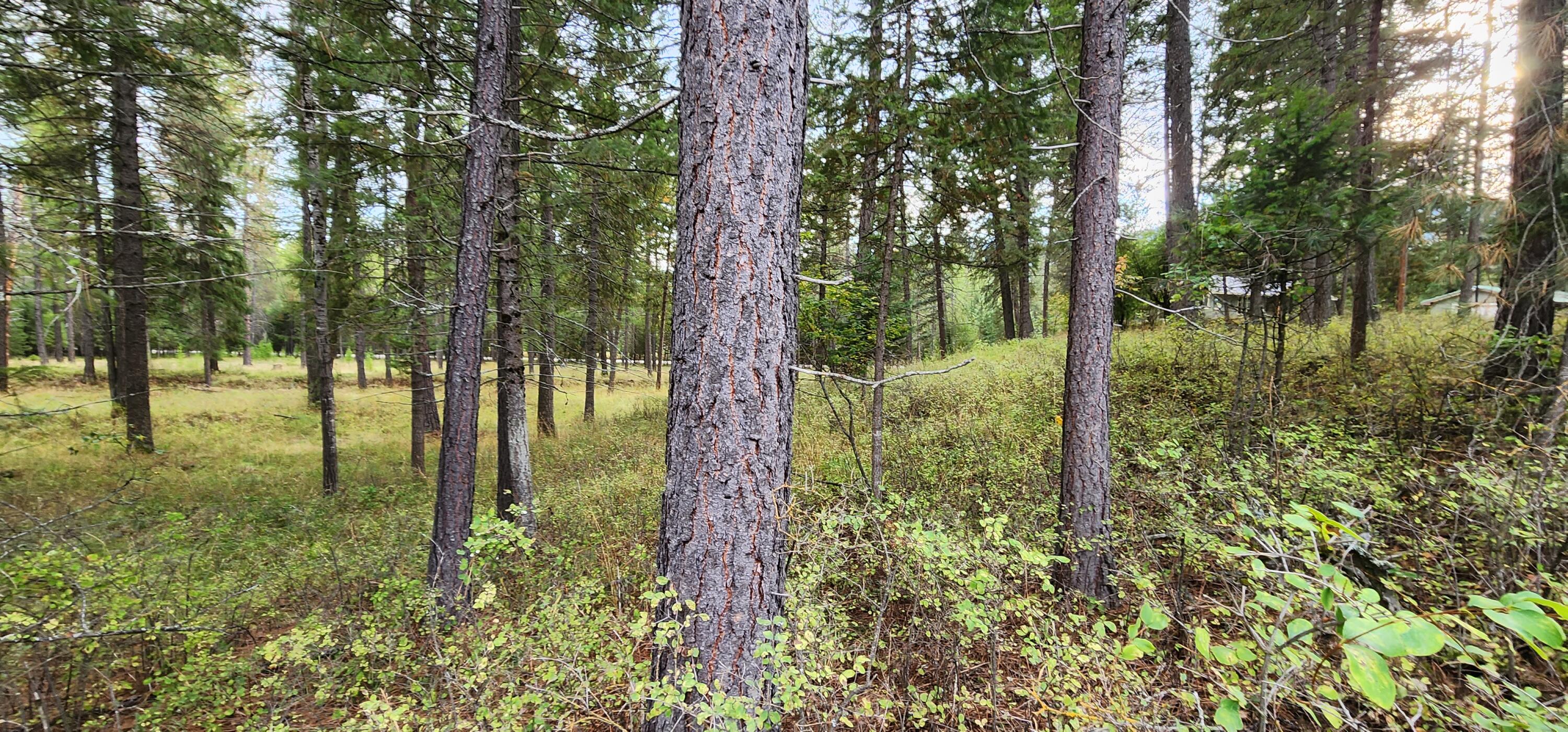 3100 Kootenai River Road Property Photo 1
