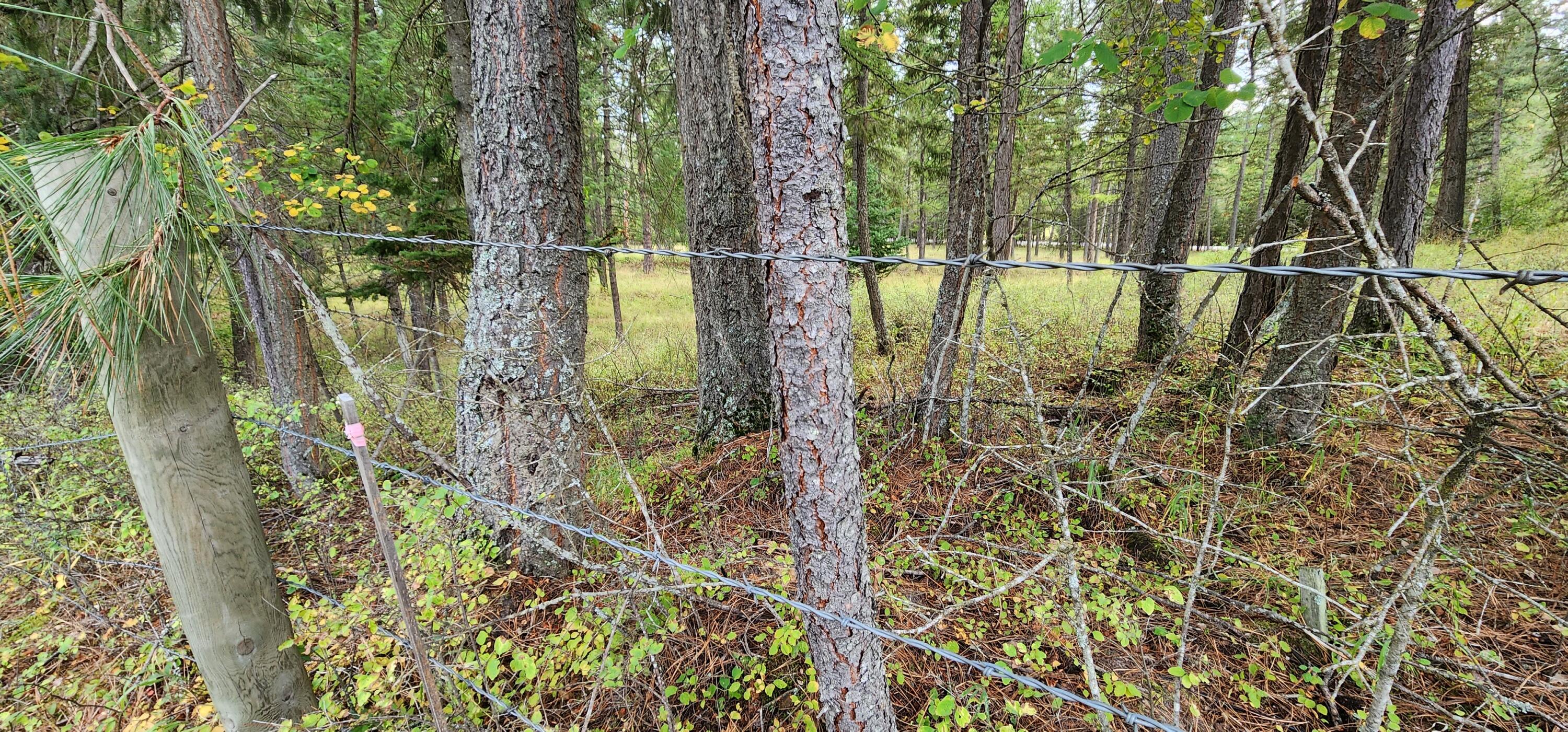 3100 Kootenai River Road Property Photo 4