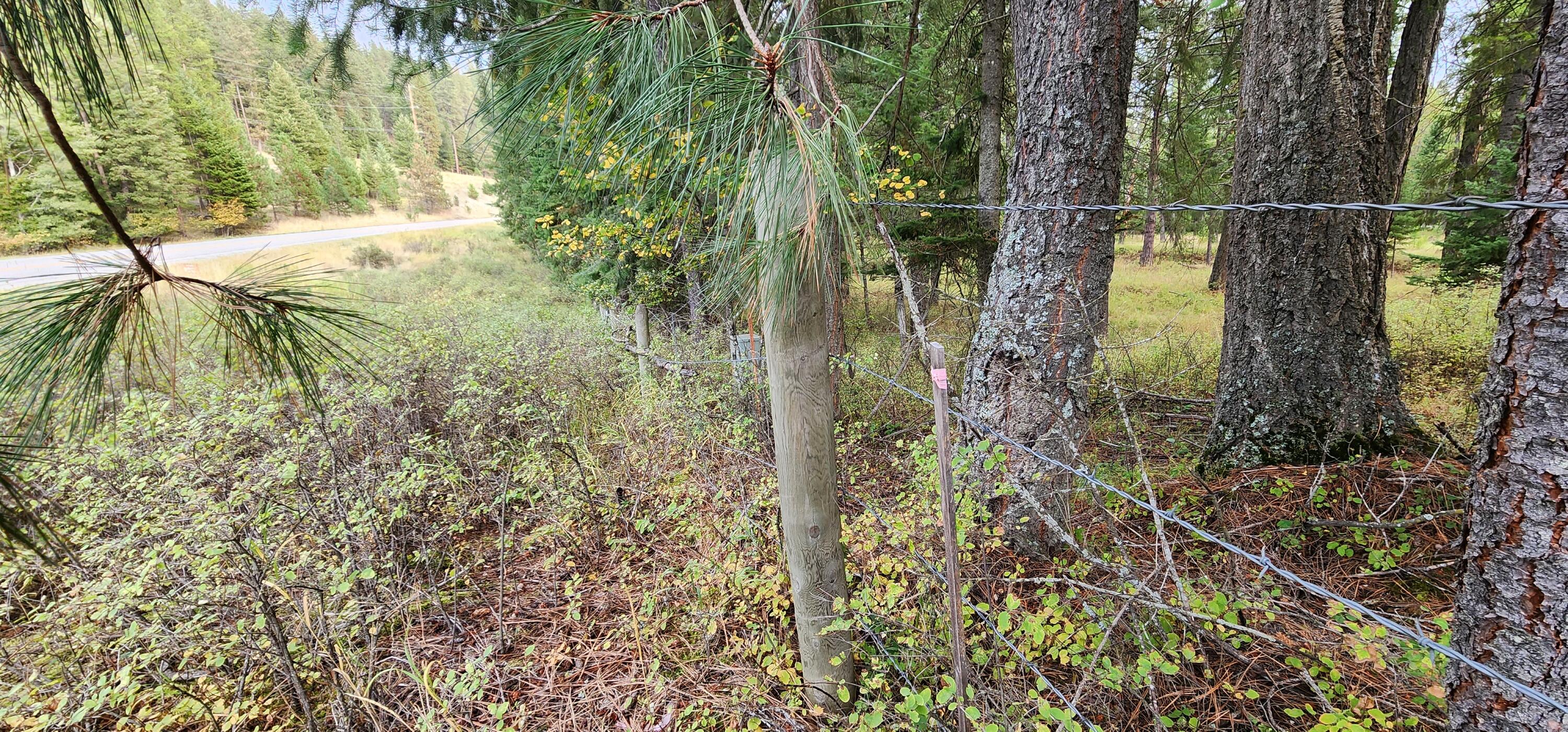 3100 Kootenai River Road Property Photo 5