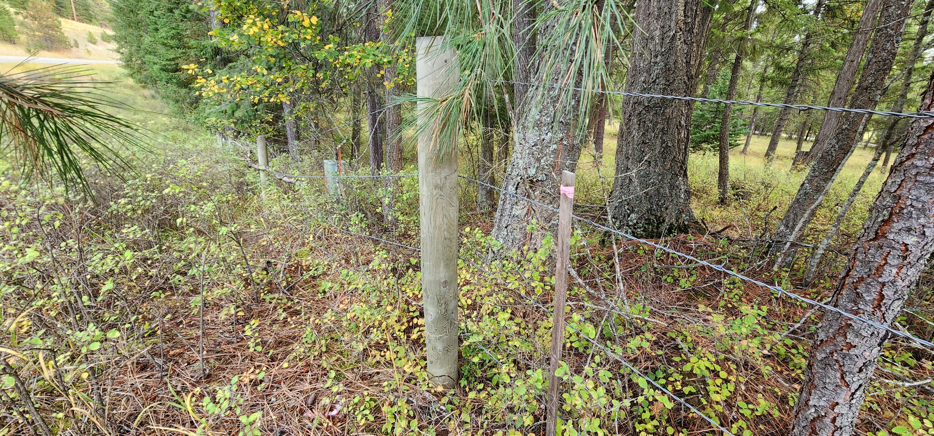 3100 Kootenai River Road Property Photo 6