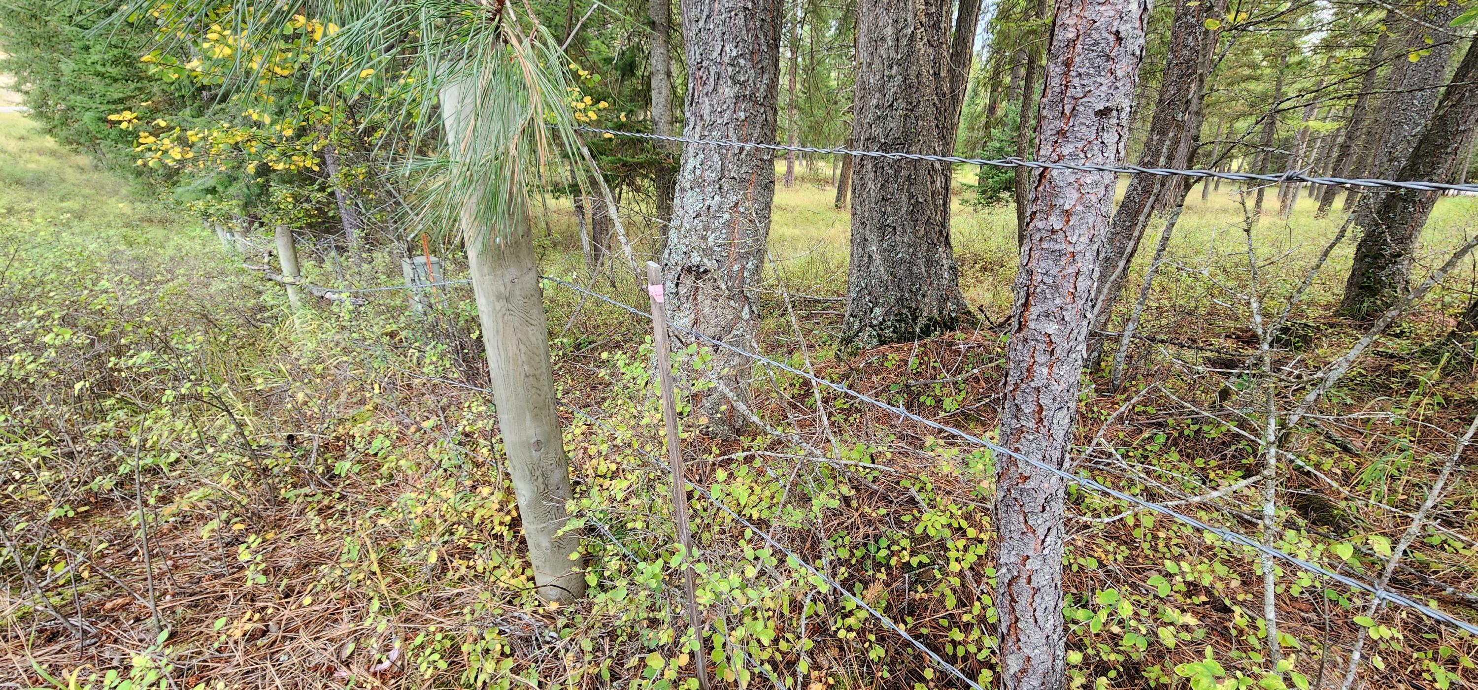 3100 Kootenai River Road Property Photo 7