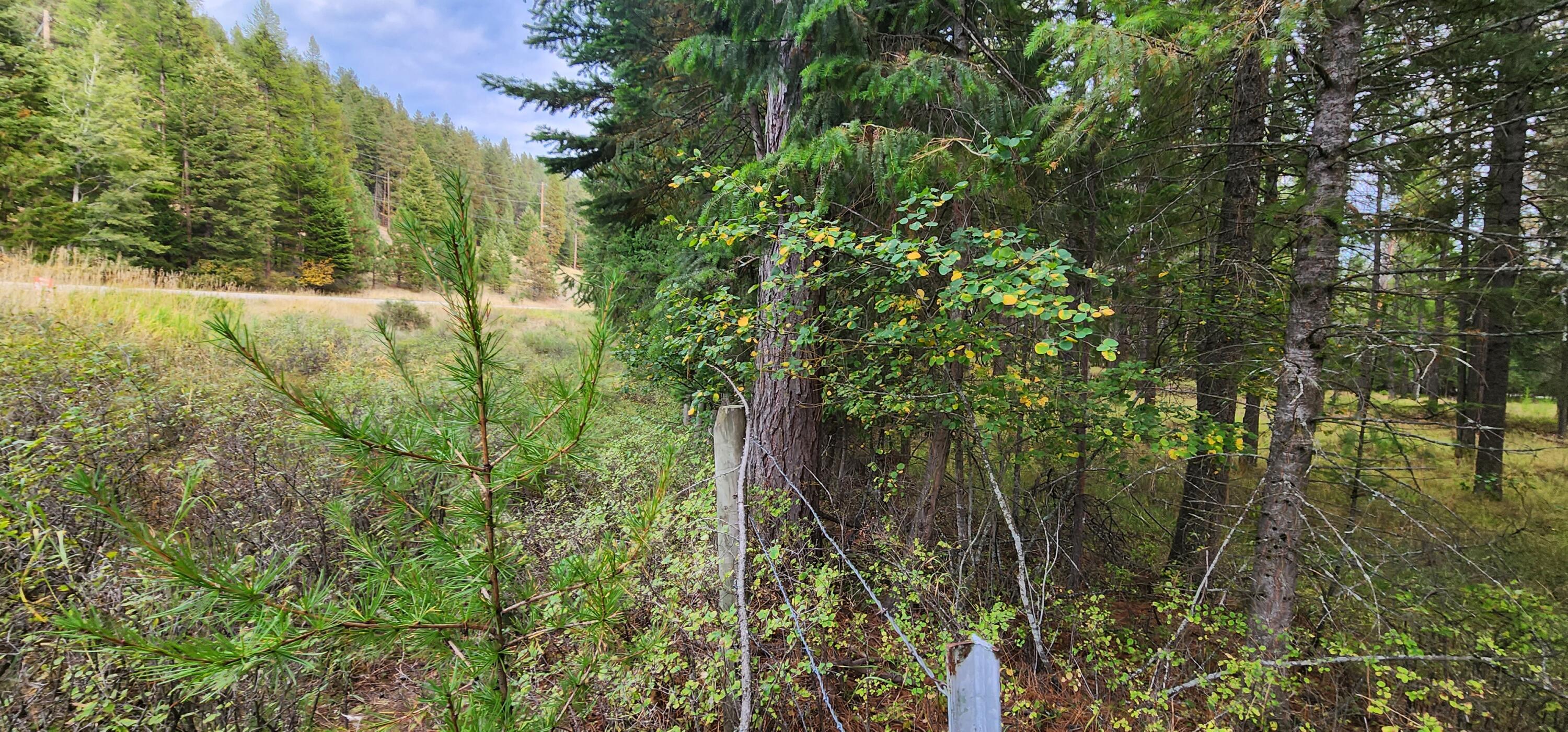 3100 Kootenai River Road Property Photo 8