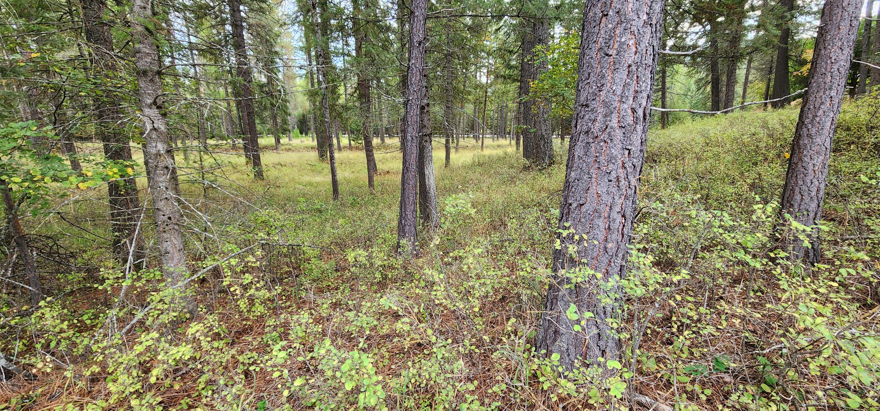 3100 Kootenai River Road Property Photo 9