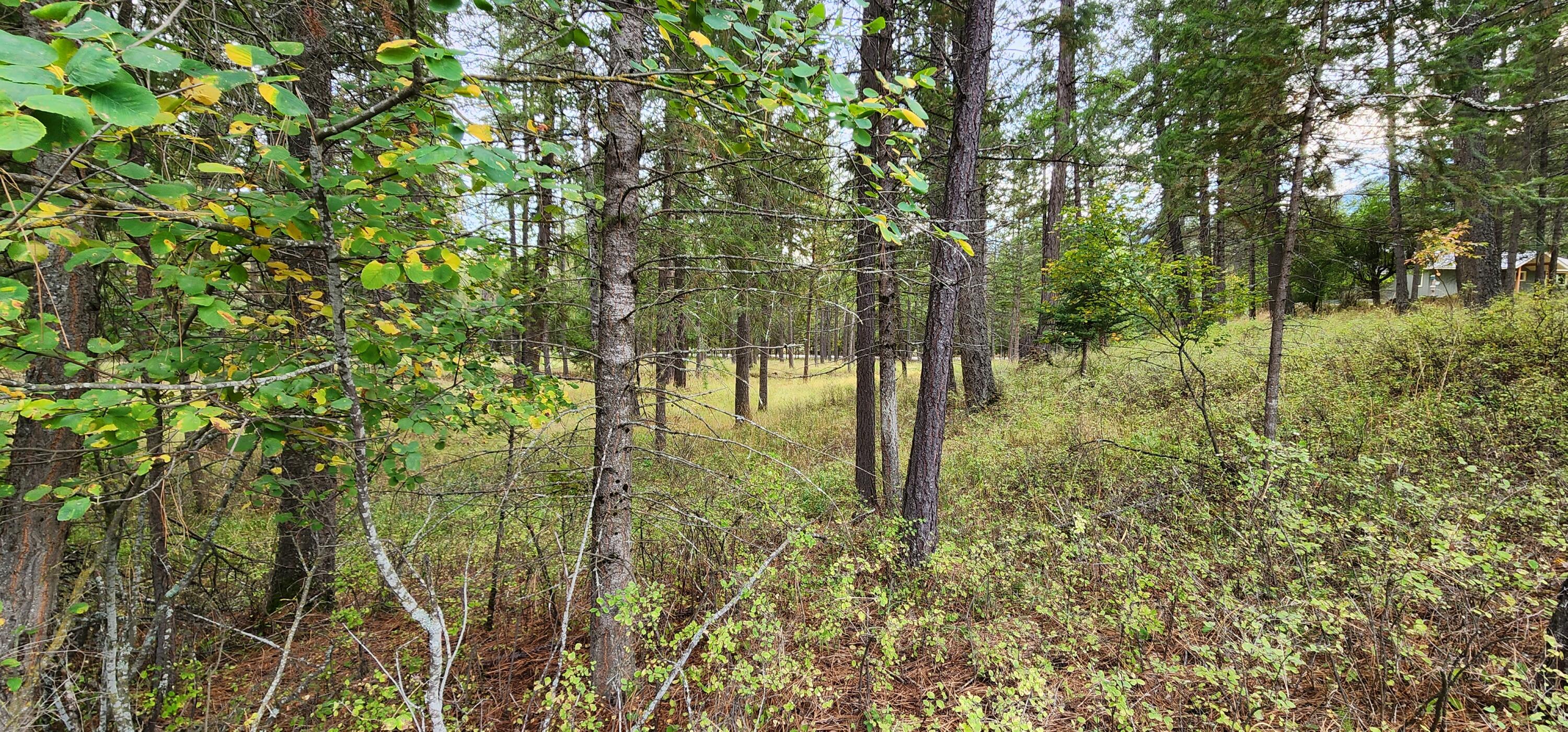 3100 Kootenai River Road Property Photo 10