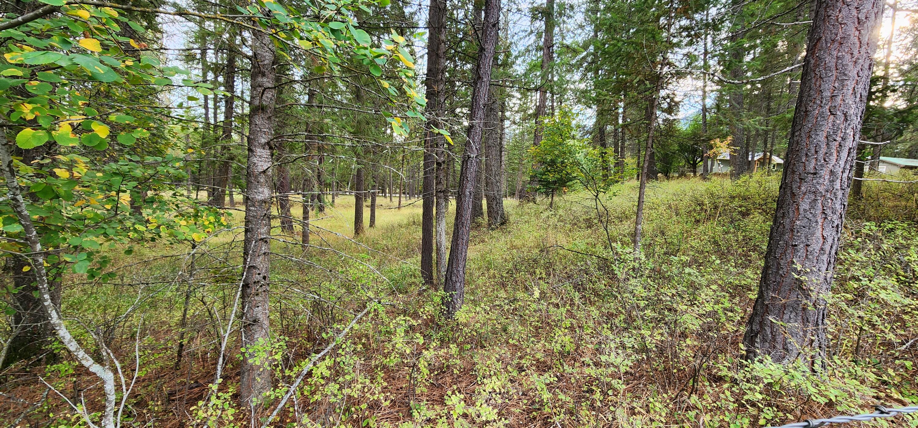 3100 Kootenai River Road Property Photo 11