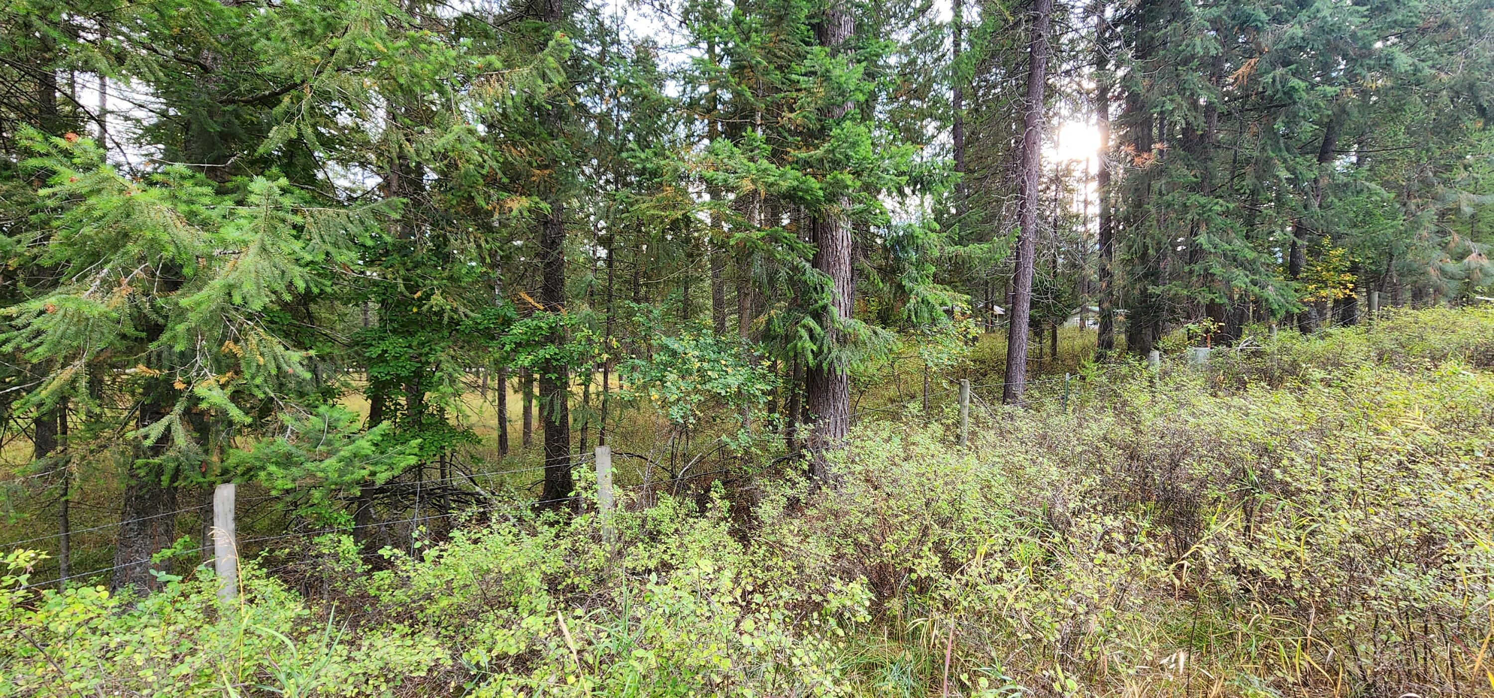 3100 Kootenai River Road Property Photo 12