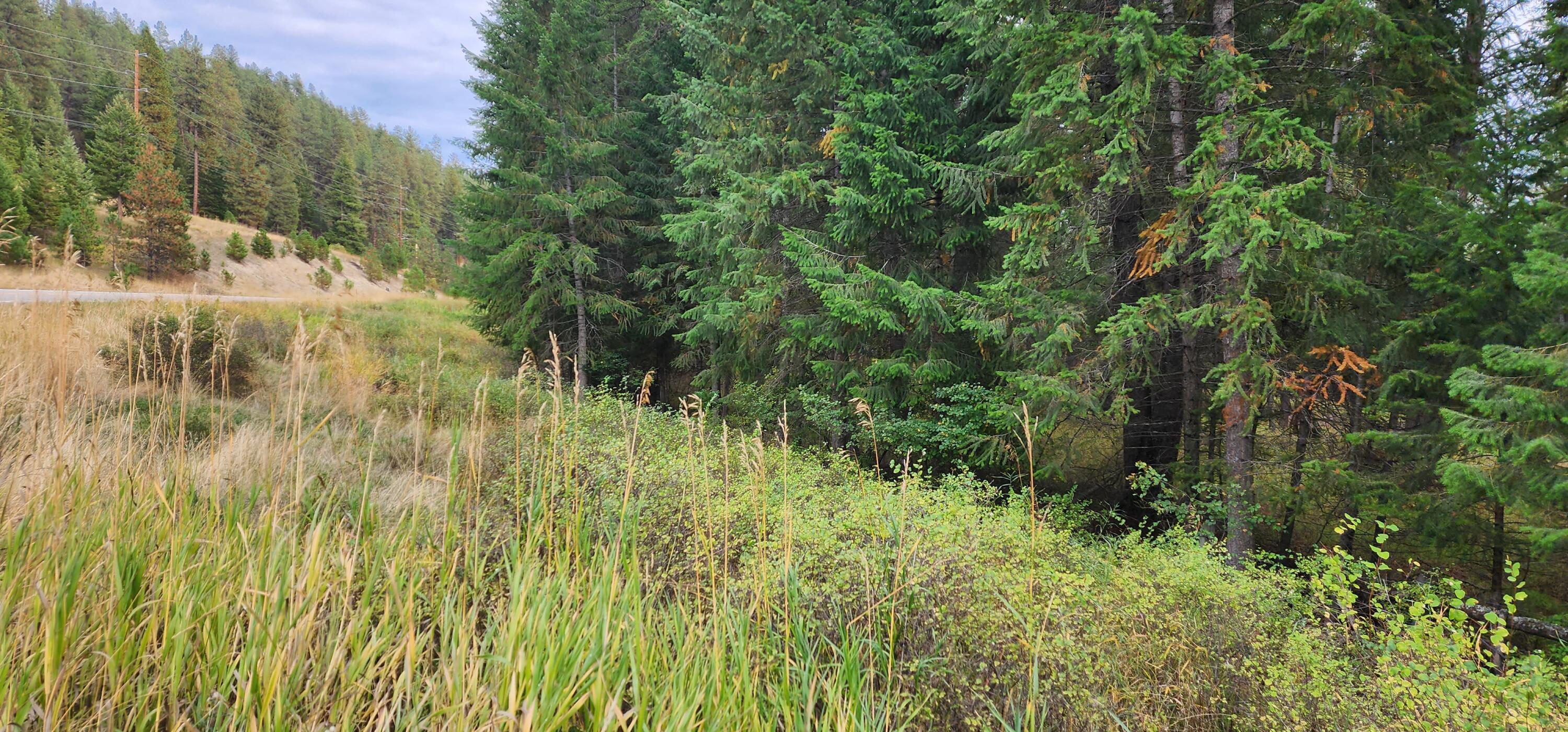 3100 Kootenai River Road Property Photo 15