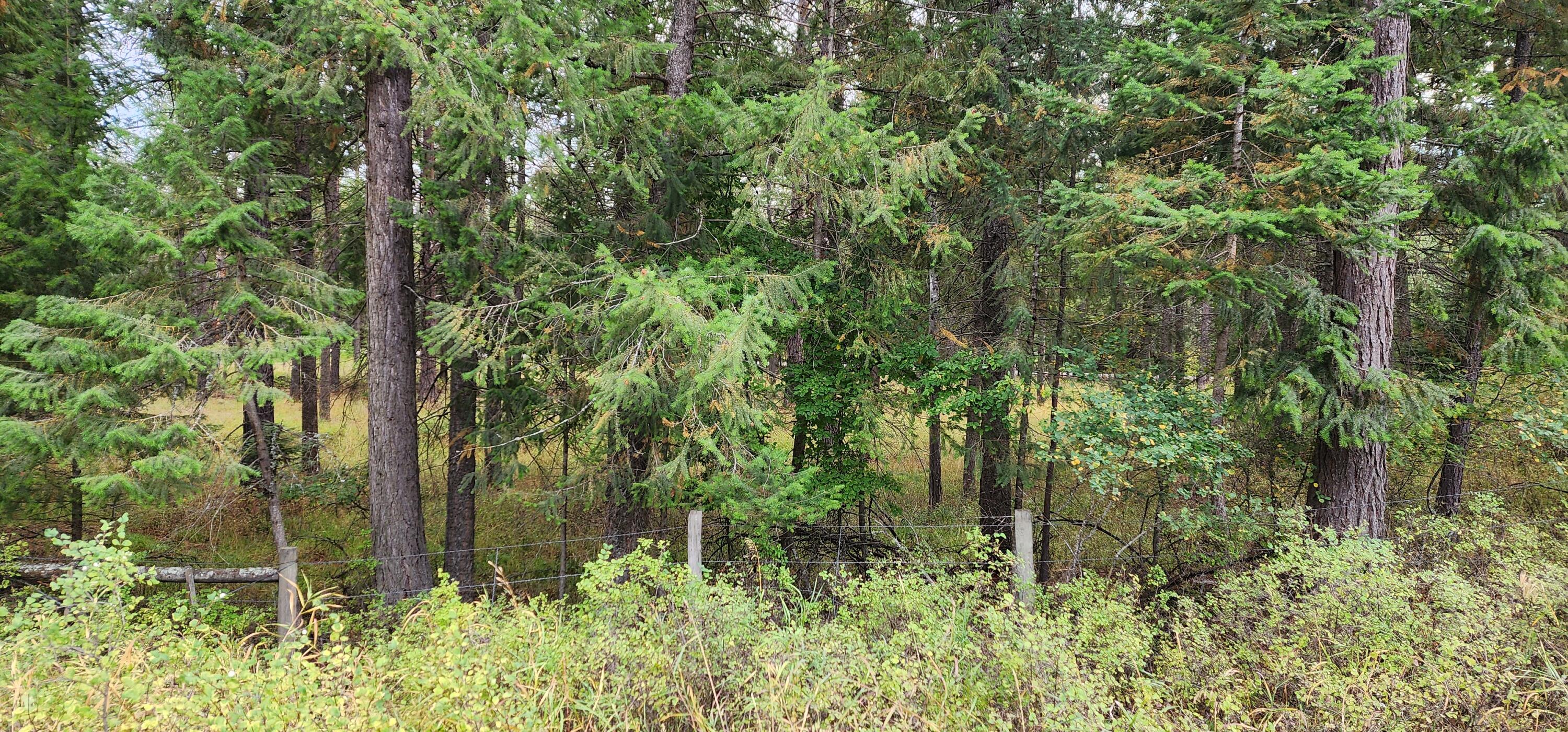 3100 Kootenai River Road Property Photo 17