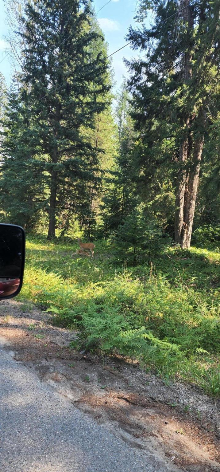 3100 Kootenai River Road Property Photo 19