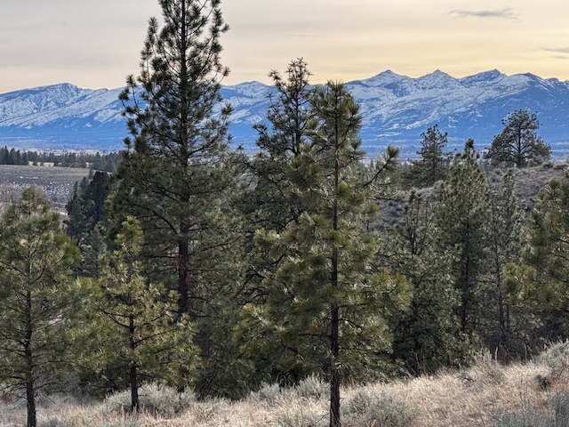 729 & 711 Rabbit Run Property Photo