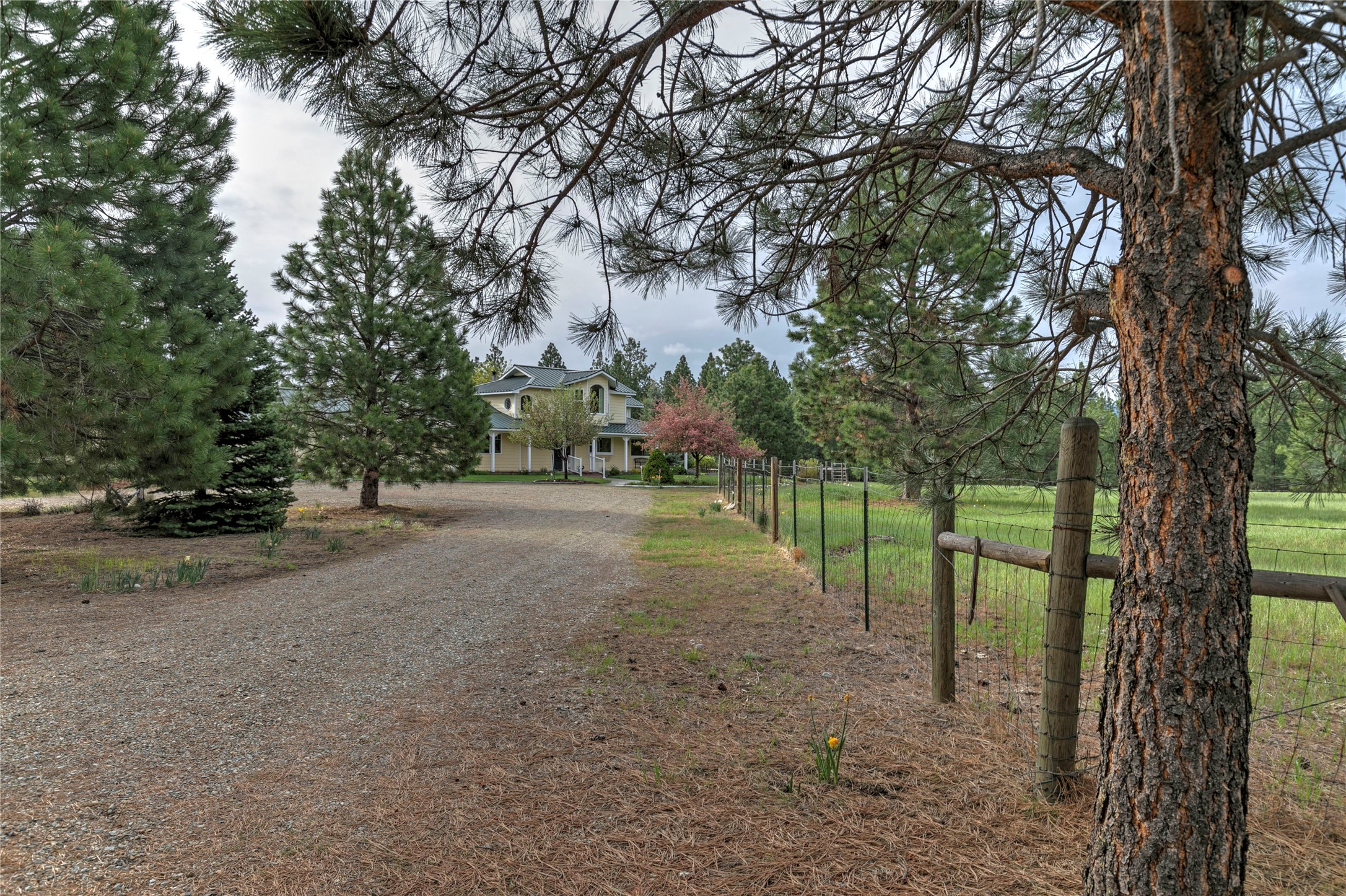 3688 Judith Lane Property Photo 5