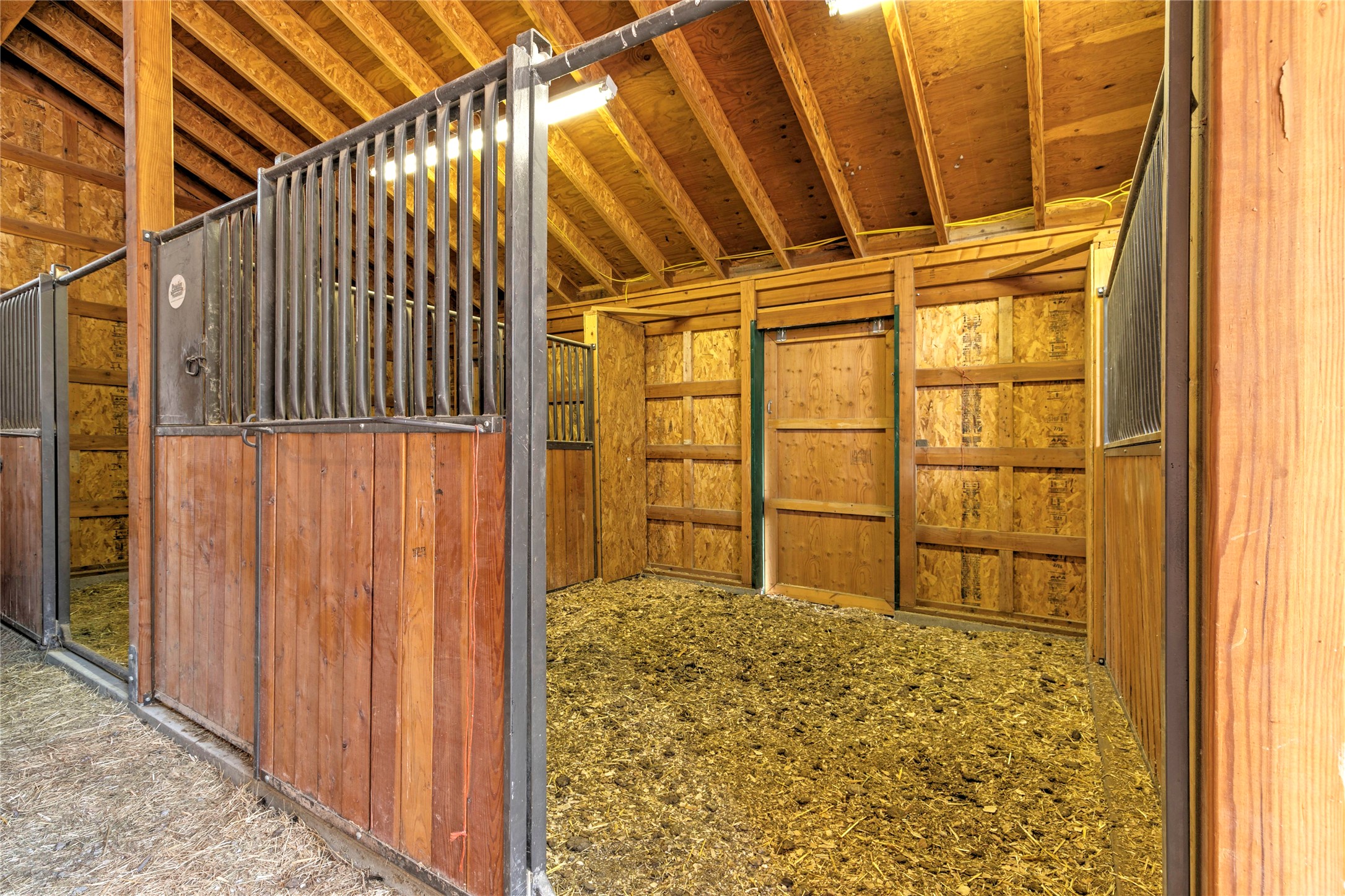 3688 Judith Lane Property Photo 55