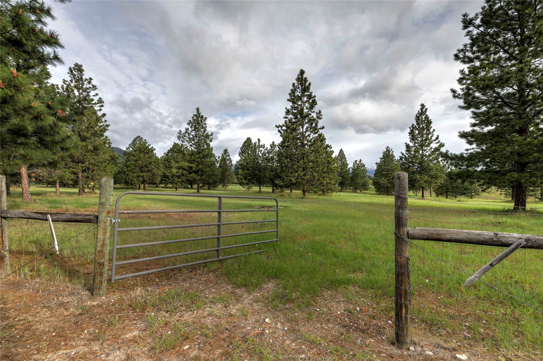3688 Judith Lane Property Photo 61