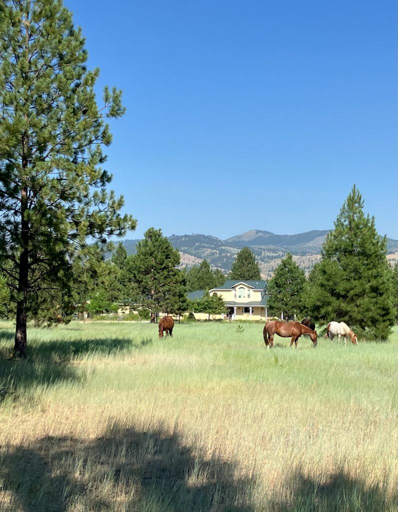 3688 Judith Lane Property Photo 100