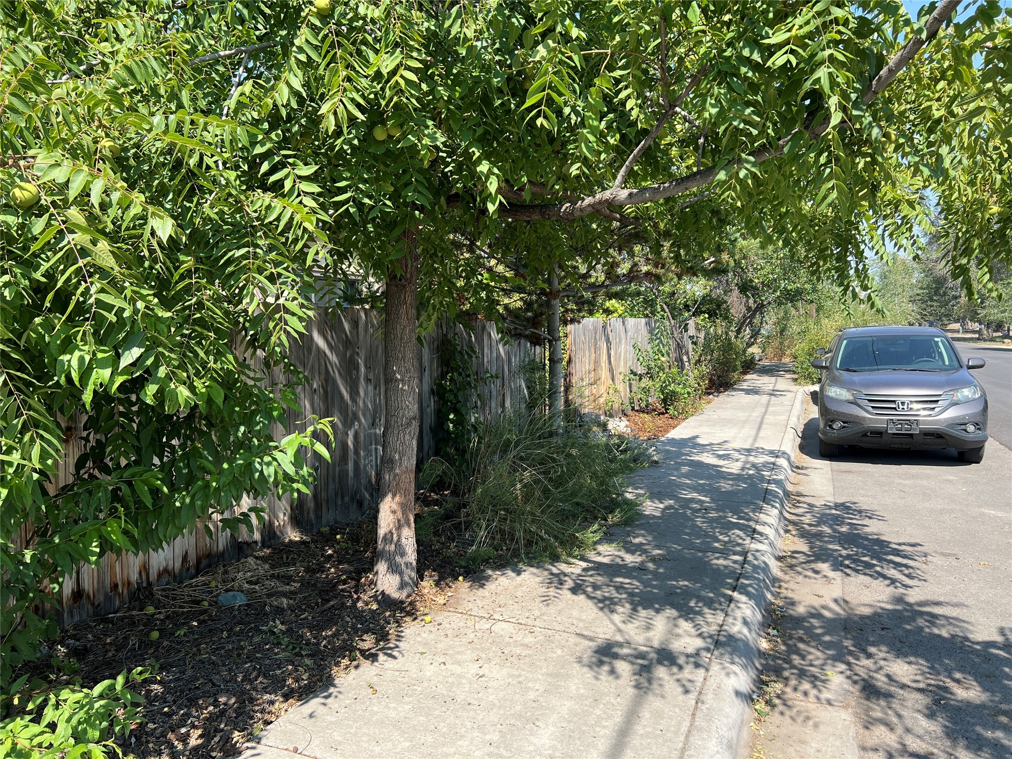 1205 Idaho Street Property Photo 53