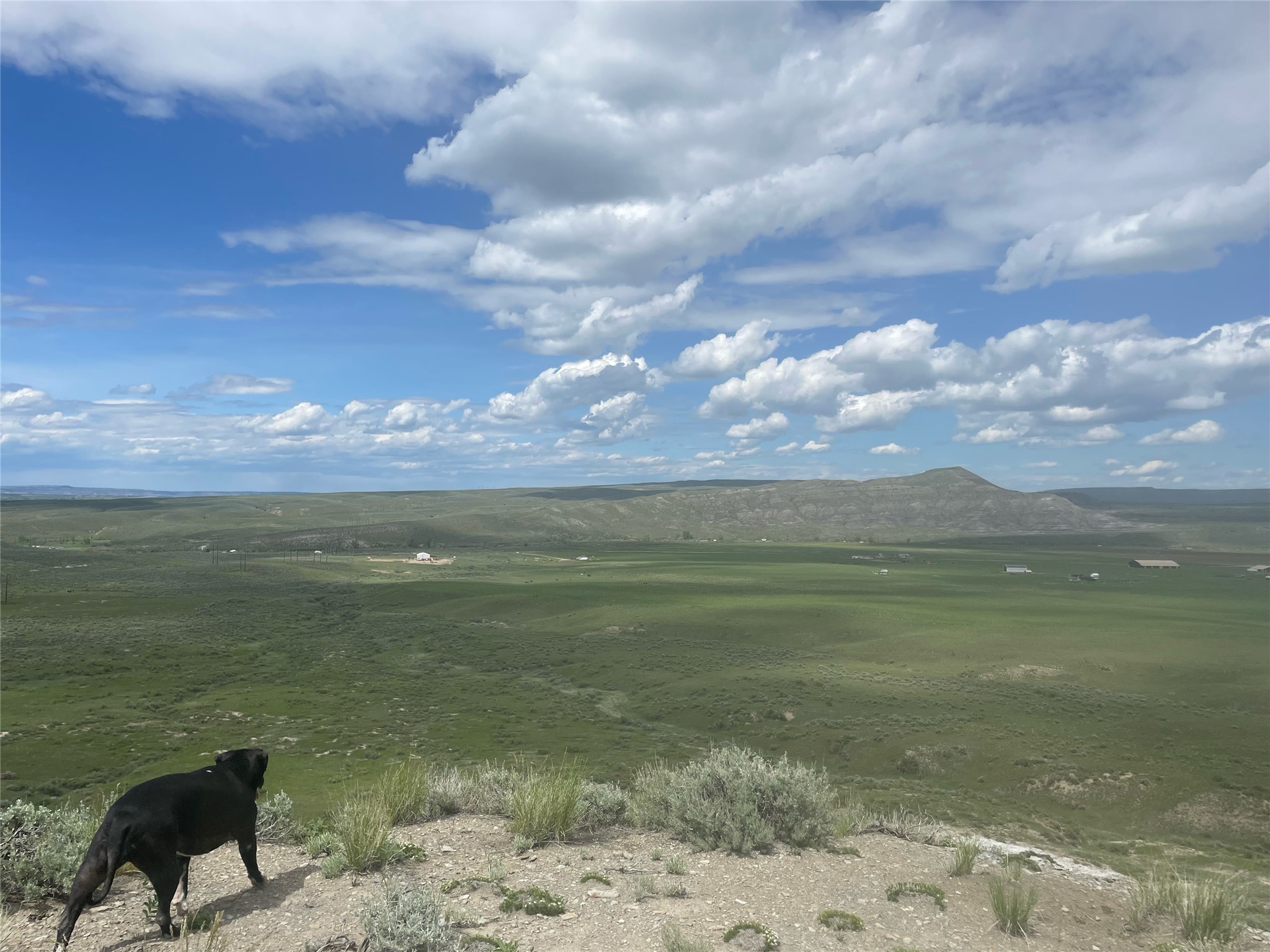 Tbd Bequette Drive Lot 11 Property Photo 3