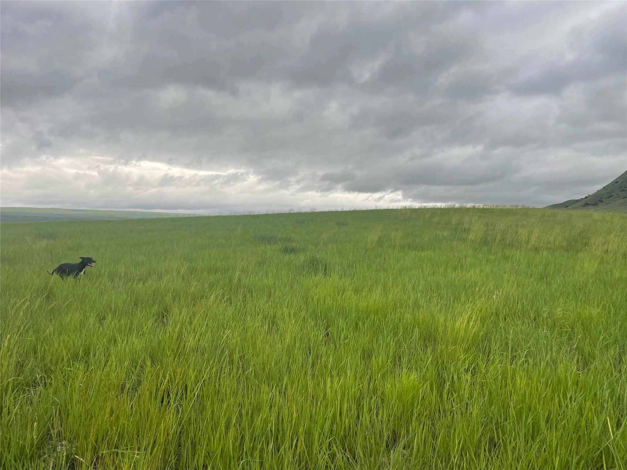 Tbd Bequette Drive Lot 11 Property Photo 5