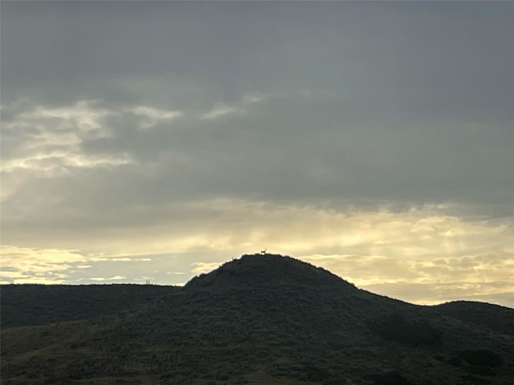 Tbd Bequette Drive Lot 11 Property Photo 7