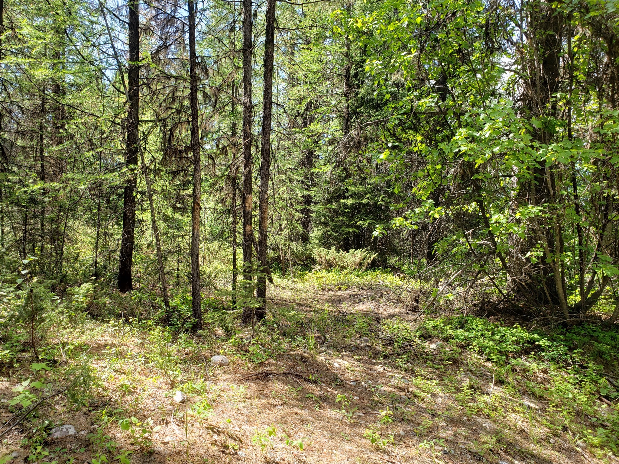 Nhn Butcher Creek Road Property Photo