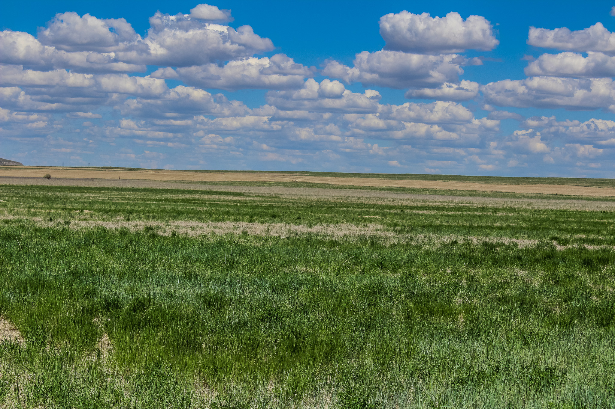 8a Old Ulm Cascade Road Property Photo 3