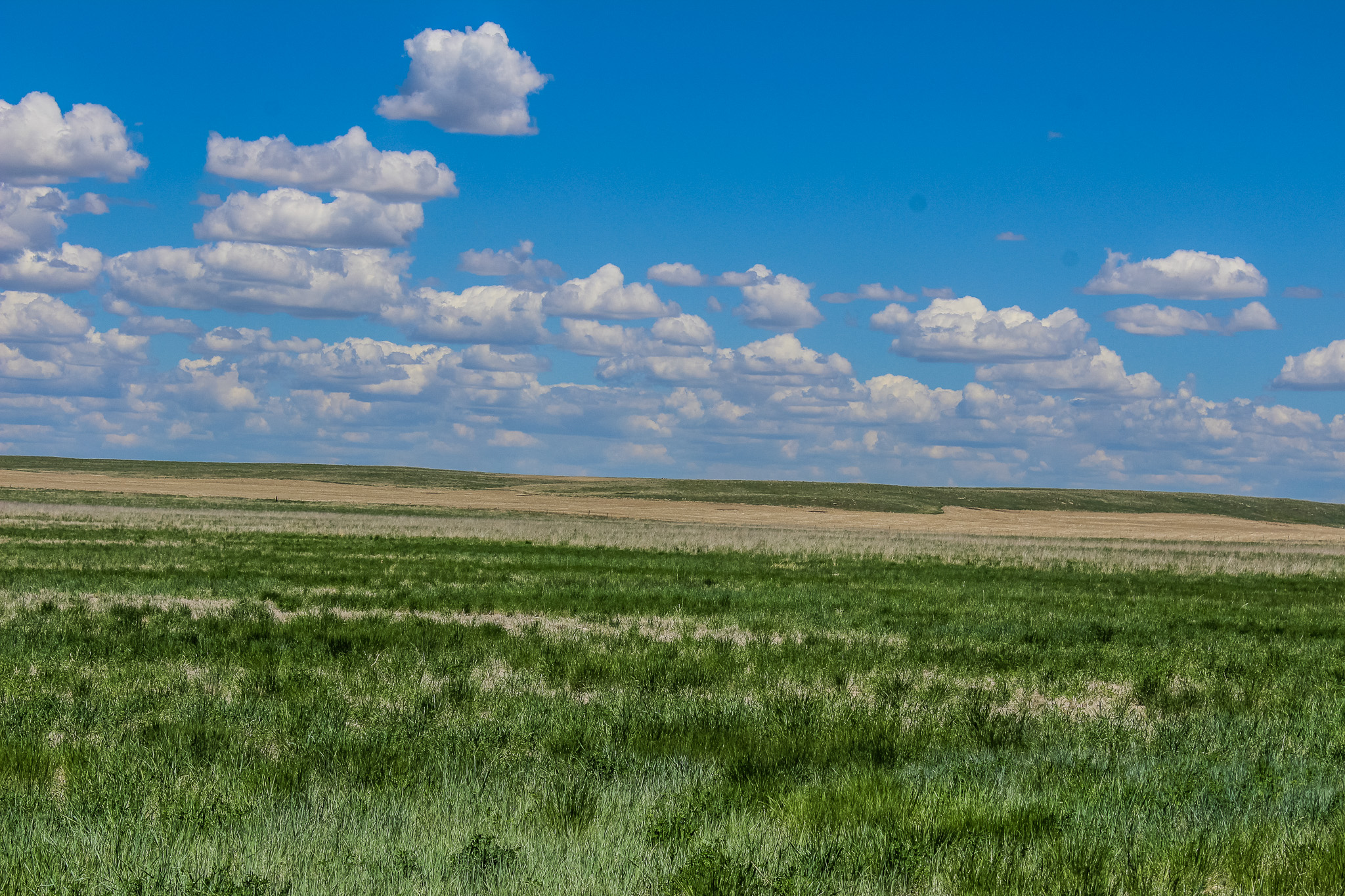 8a Old Ulm Cascade Road Property Photo 4