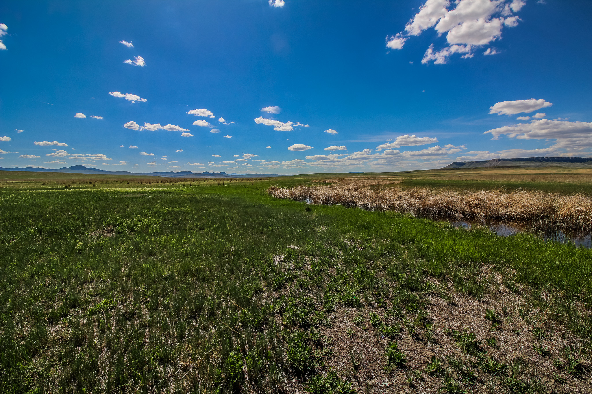 Tract 28 Oid Ulm Cascade Road Property Photo 6