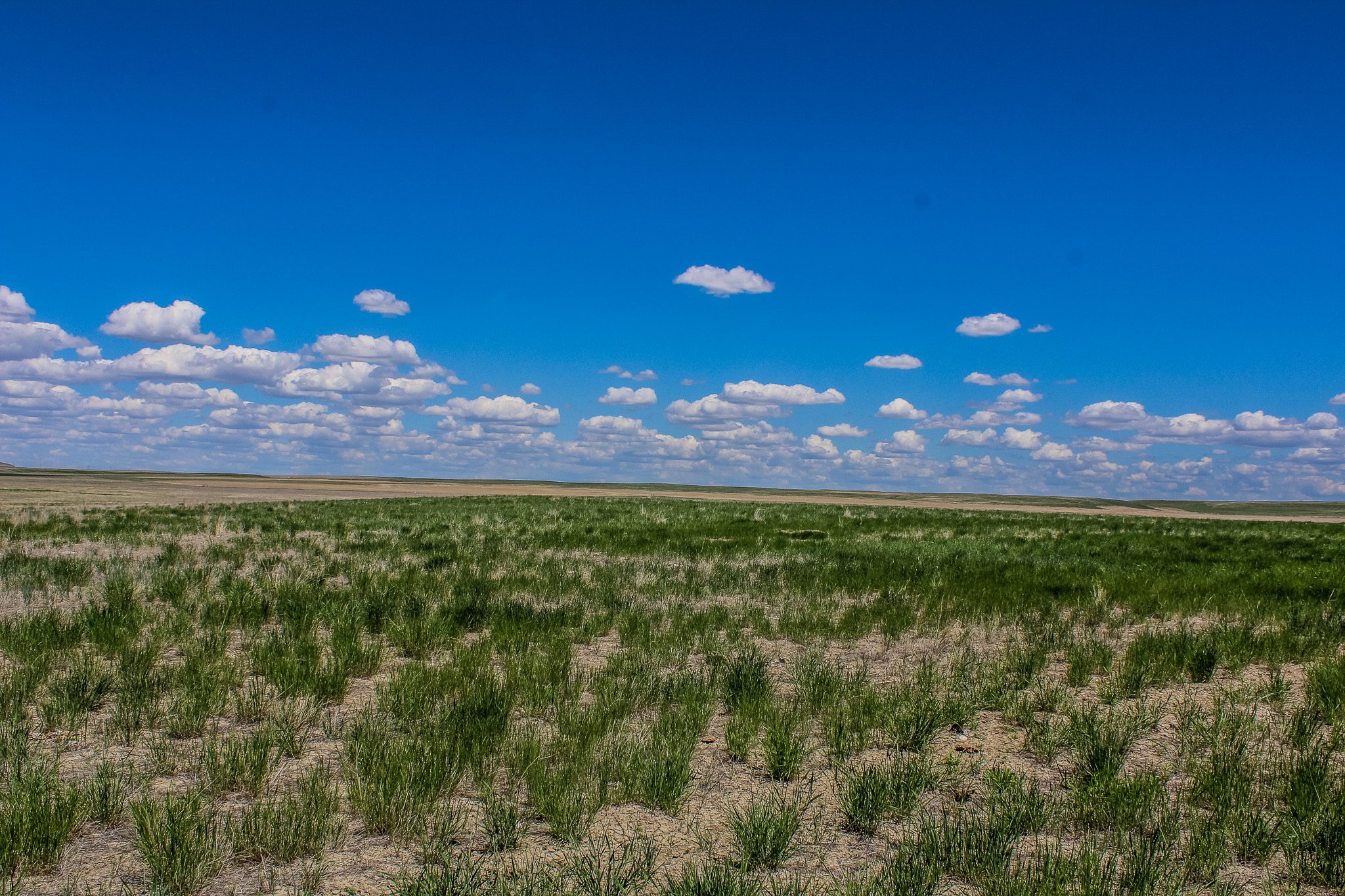 Tract 22 Old Ulm Cascade Road Property Photo 2