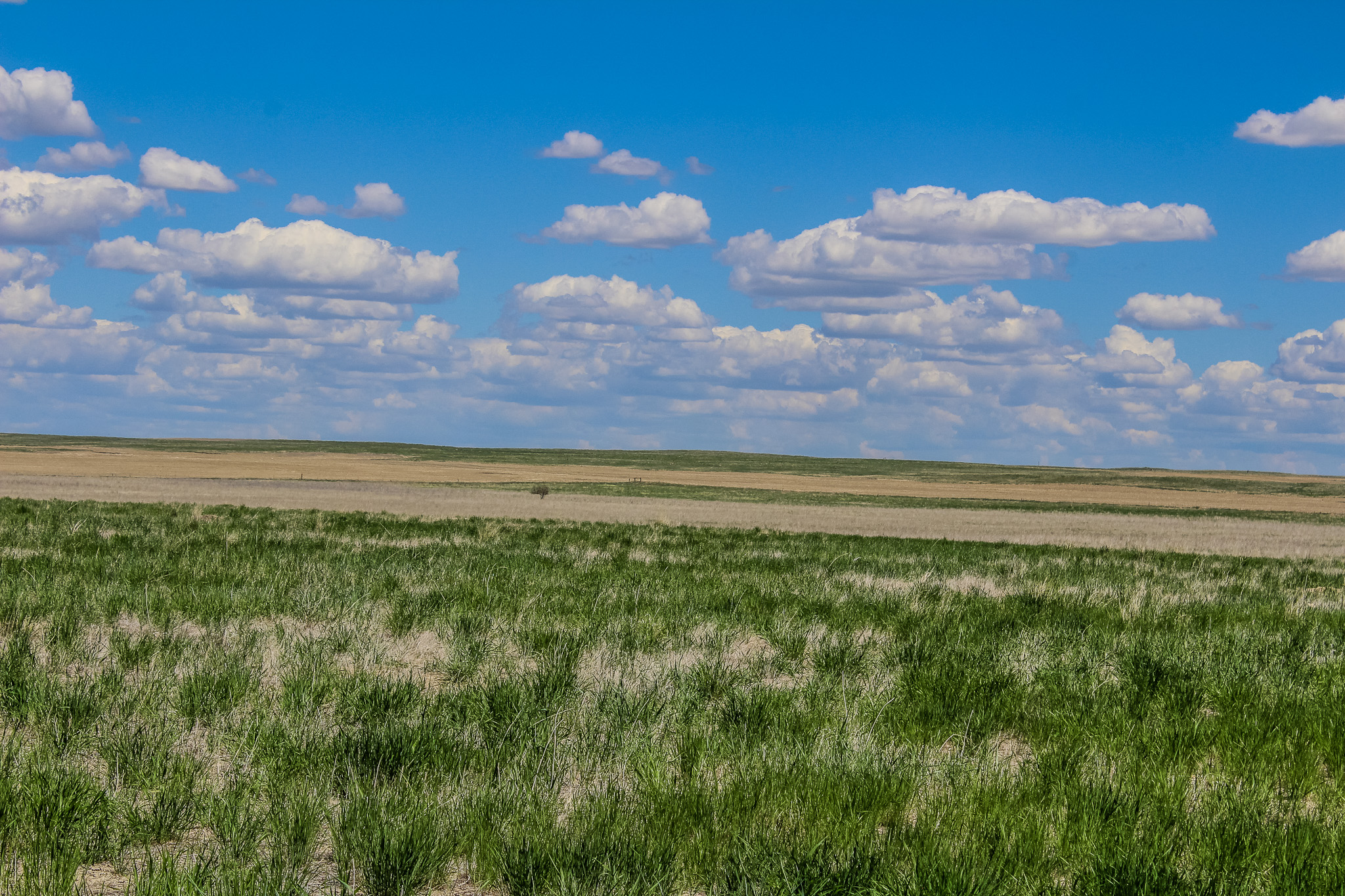 Tract 22 Old Ulm Cascade Road Property Photo 4