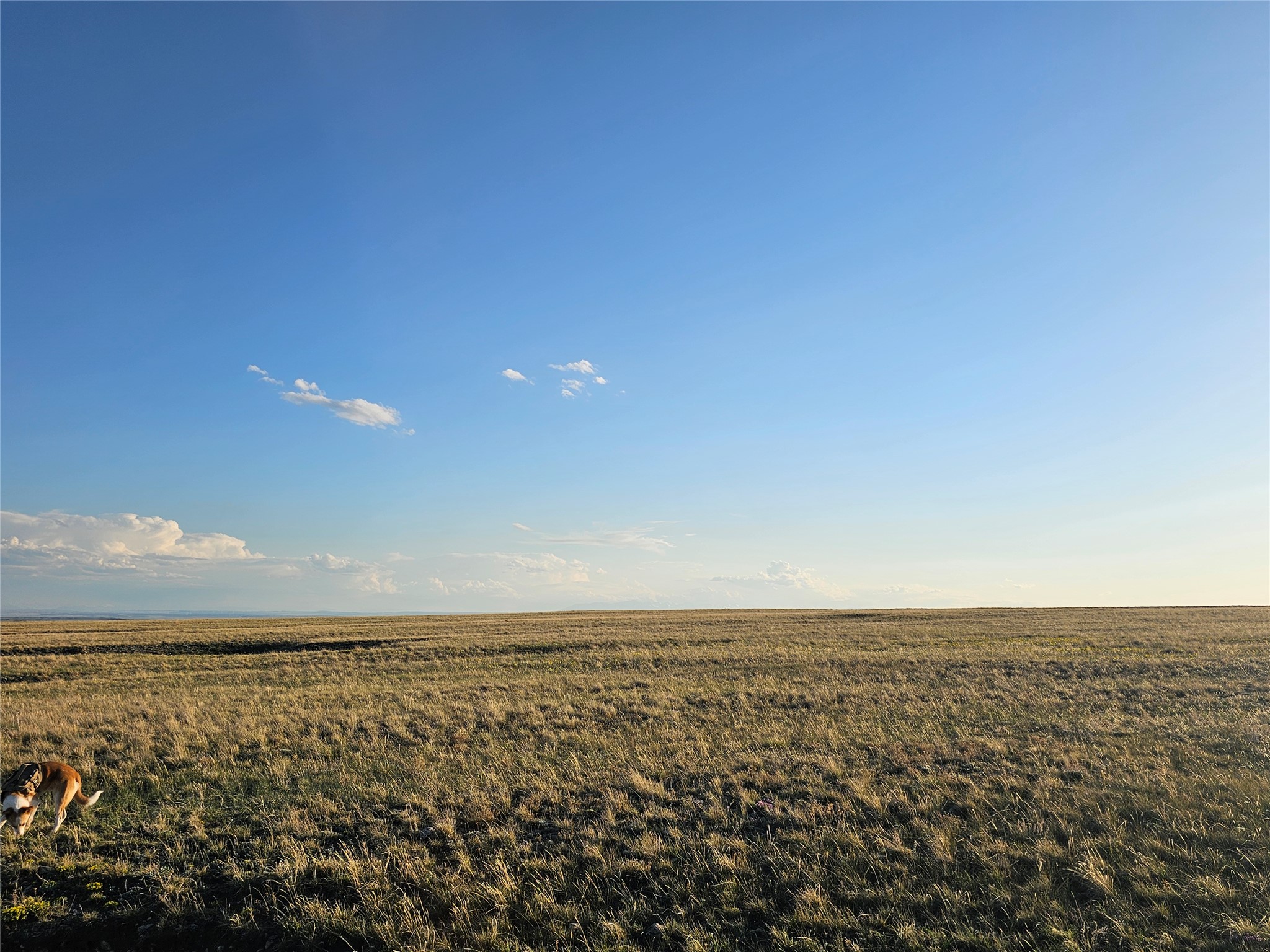 Nhn Red Hill Road Property Photo 88
