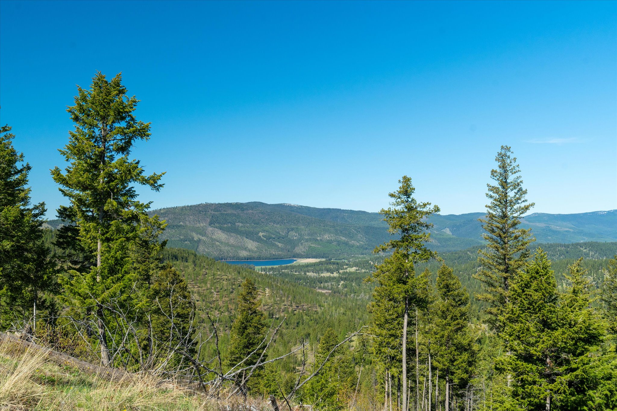 Nhn Ashley Lake Road Property Photo 4