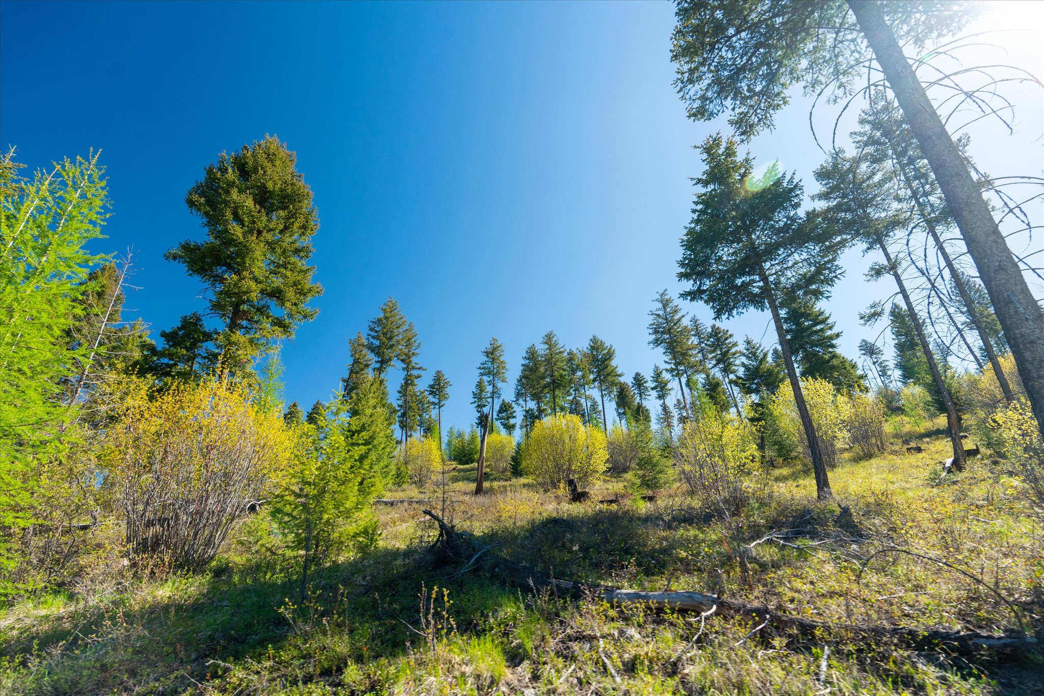 Nhn Ashley Lake Road Property Photo 6
