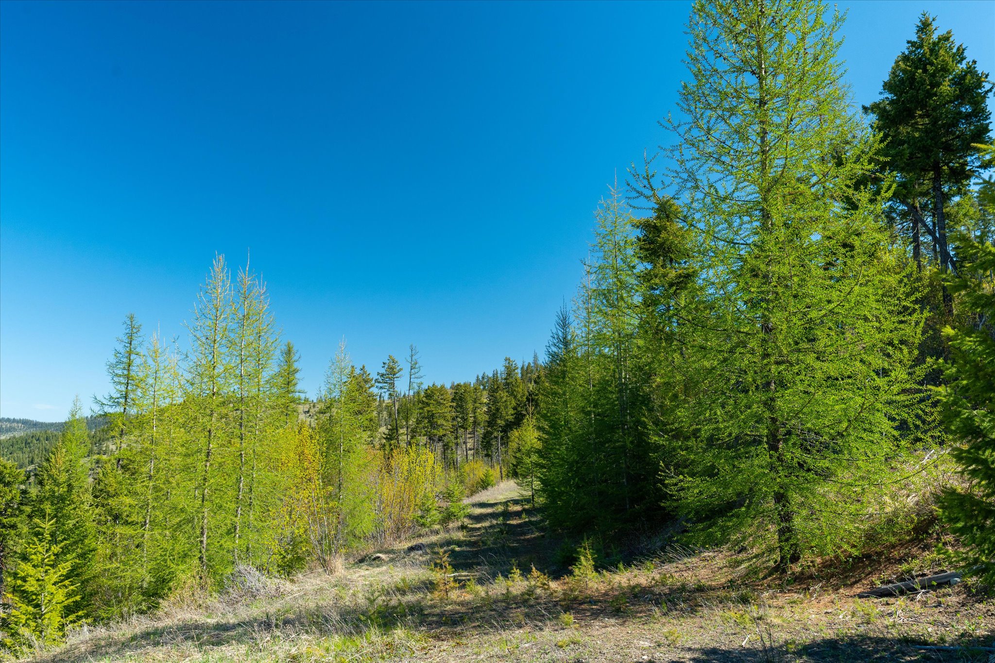 Nhn Ashley Lake Road Property Photo 9