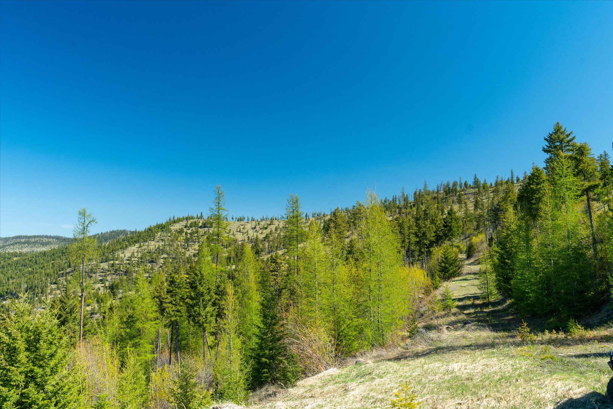 Nhn Ashley Lake Road Property Photo 10