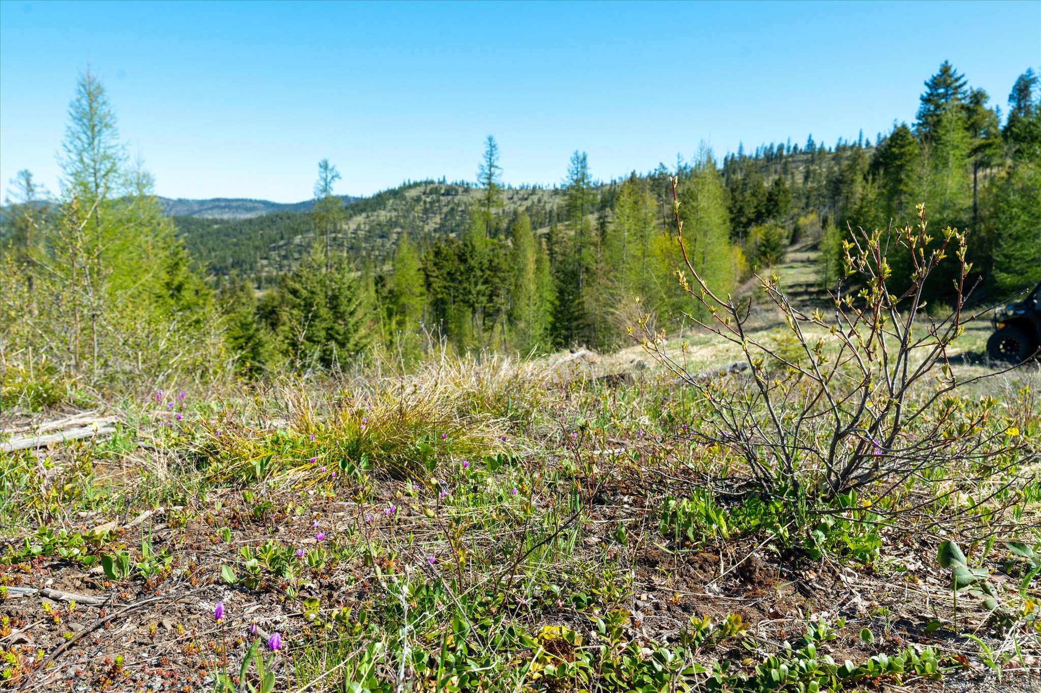 Nhn Ashley Lake Road Property Photo 13