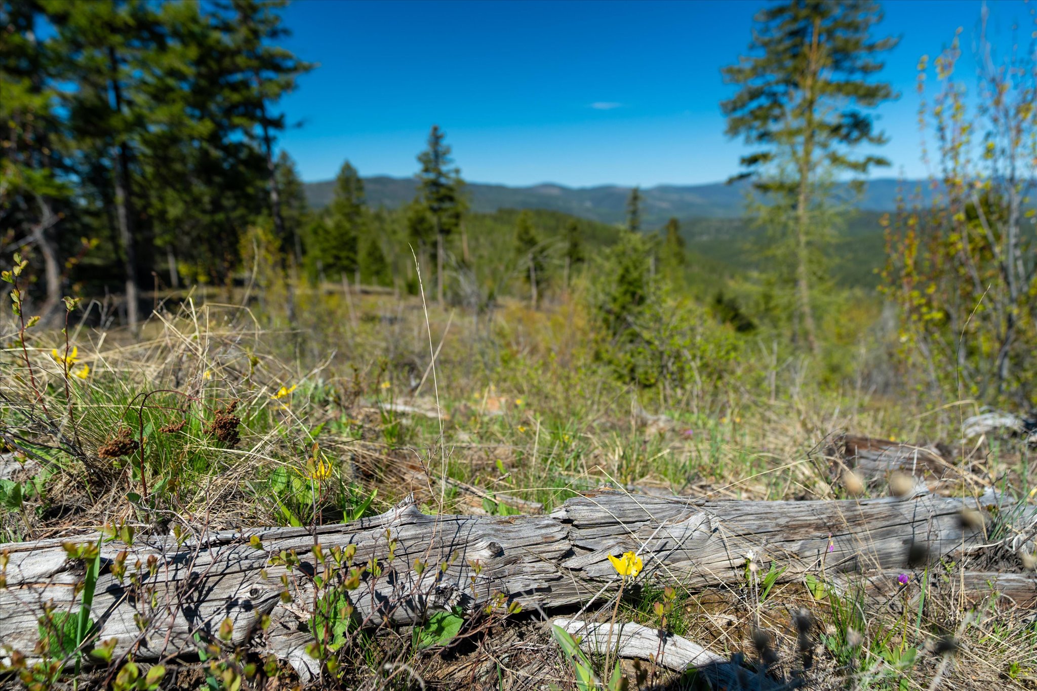 Nhn Ashley Lake Road Property Photo 14