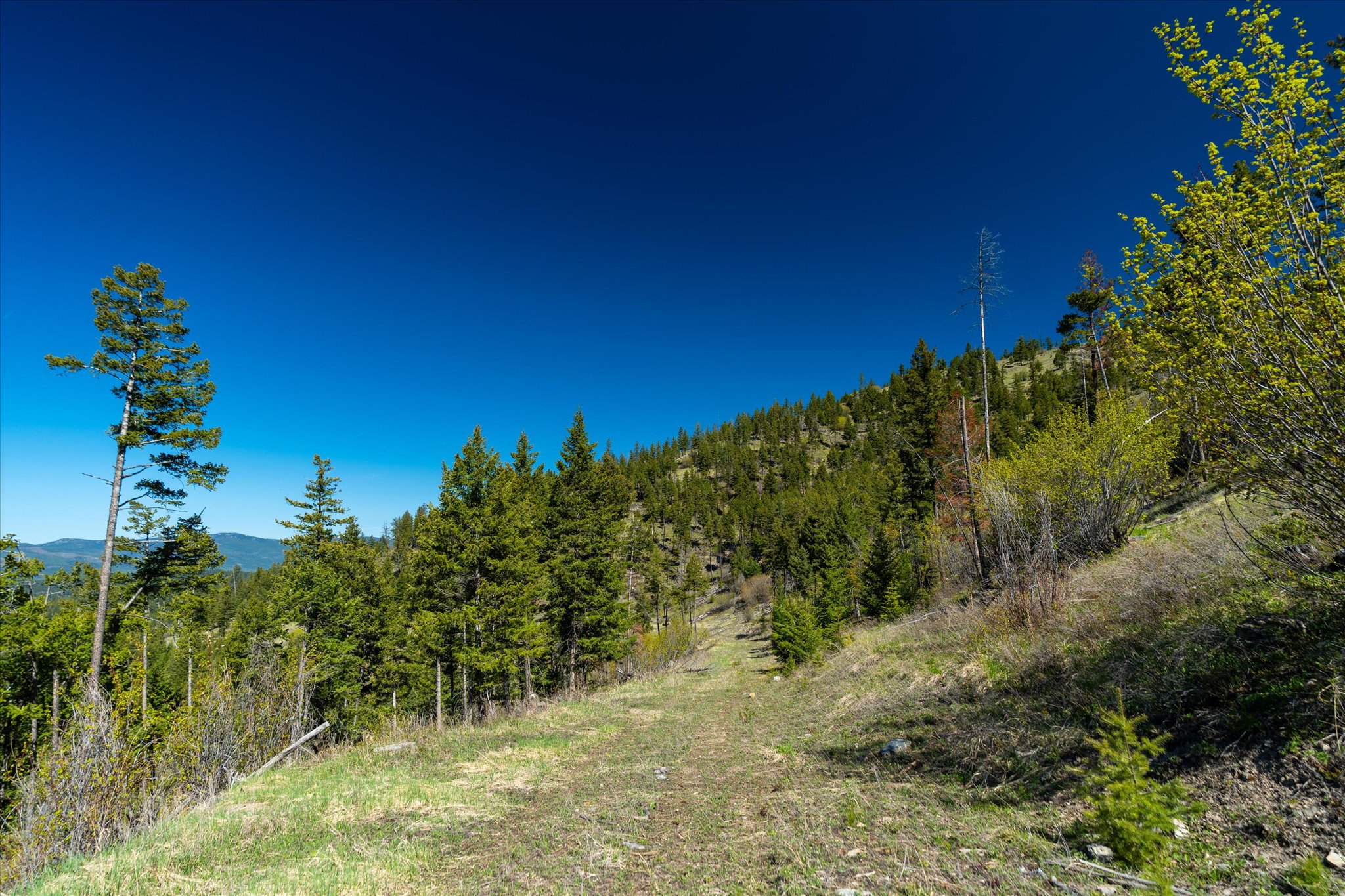 Nhn Ashley Lake Road Property Photo 15