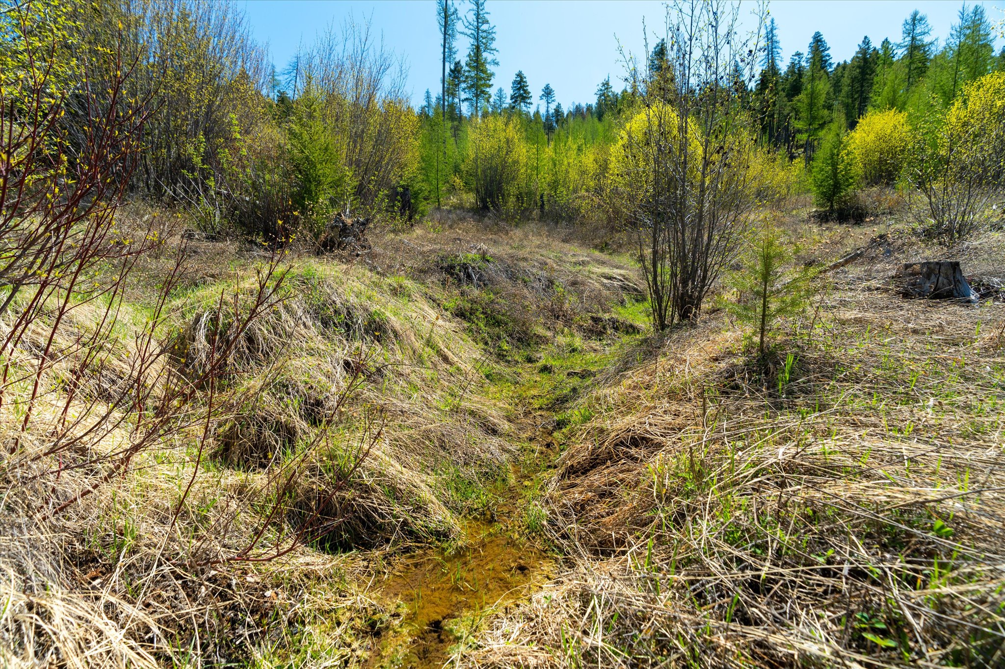 Nhn Ashley Lake Road Property Photo 16