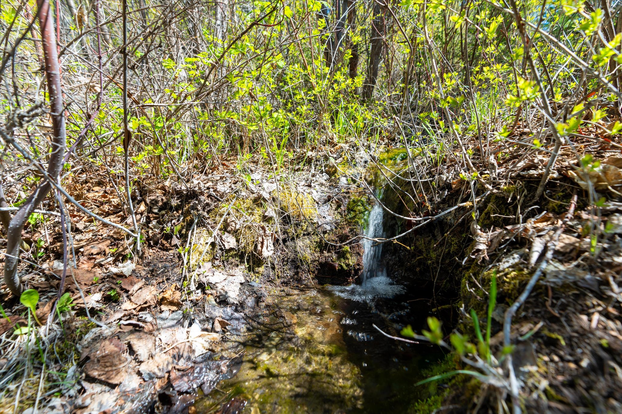 Nhn Ashley Lake Road Property Photo 17
