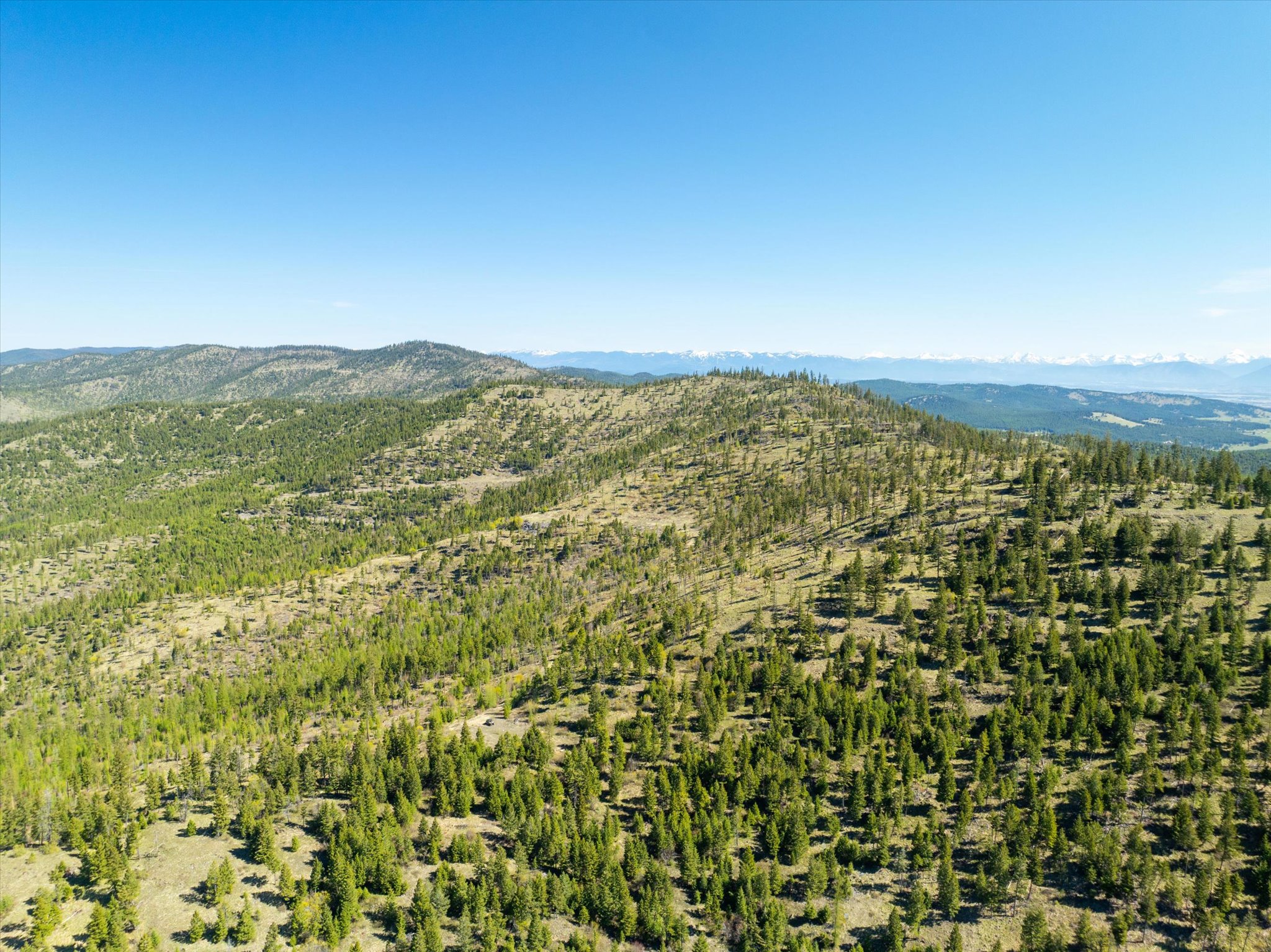 Nhn Ashley Lake Road Property Photo 19