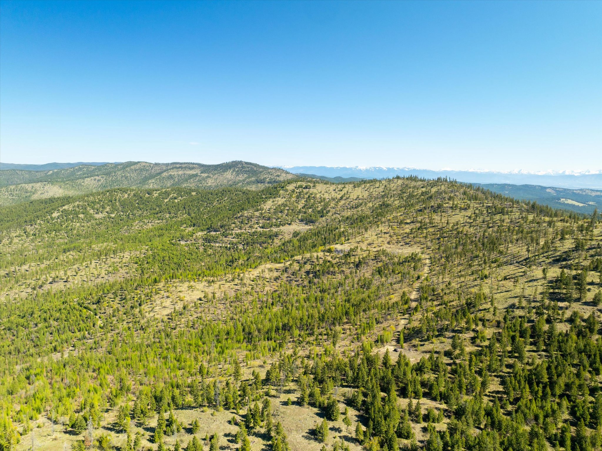 Nhn Ashley Lake Road Property Photo 20