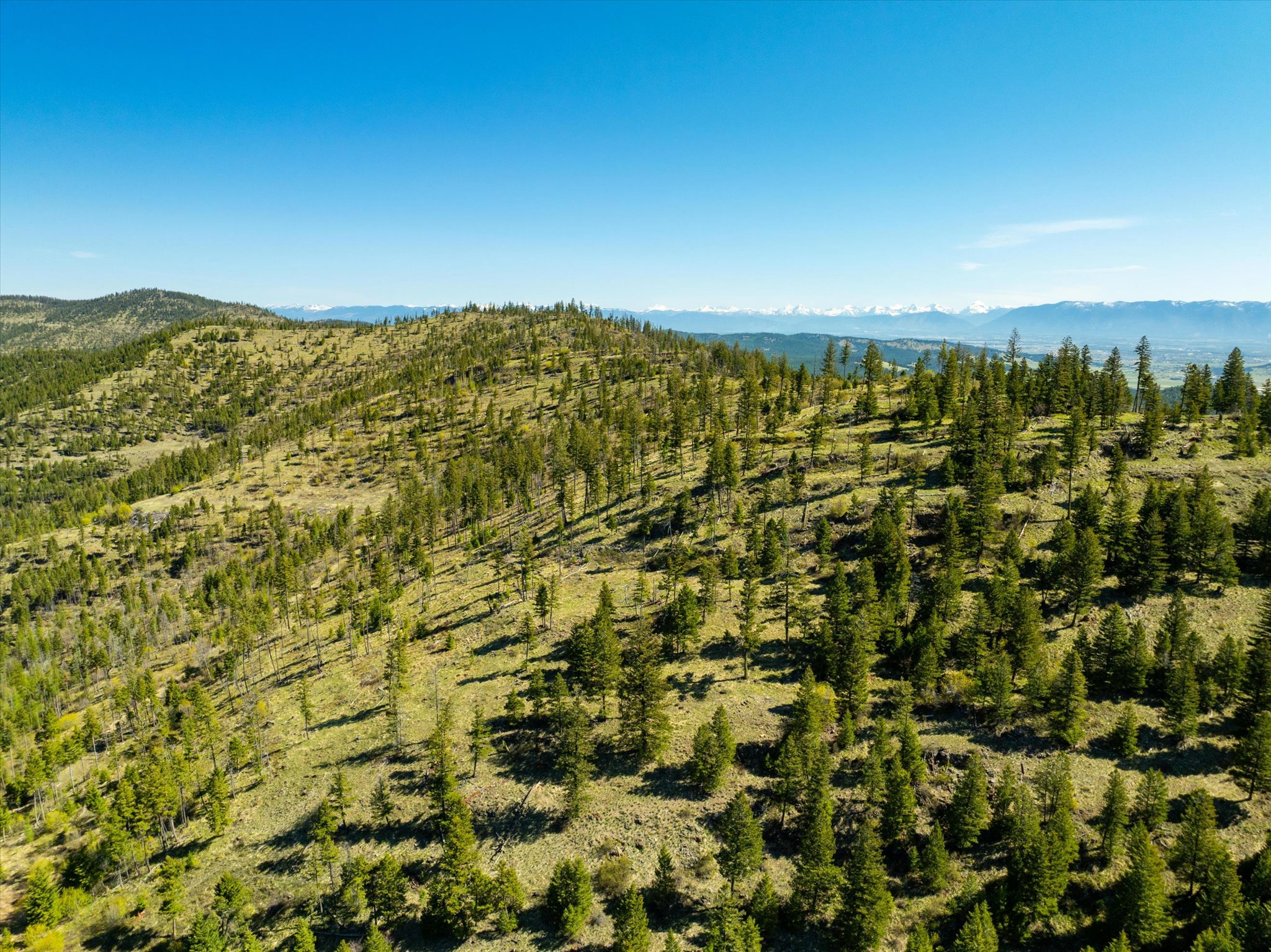 Nhn Ashley Lake Road Property Photo 28
