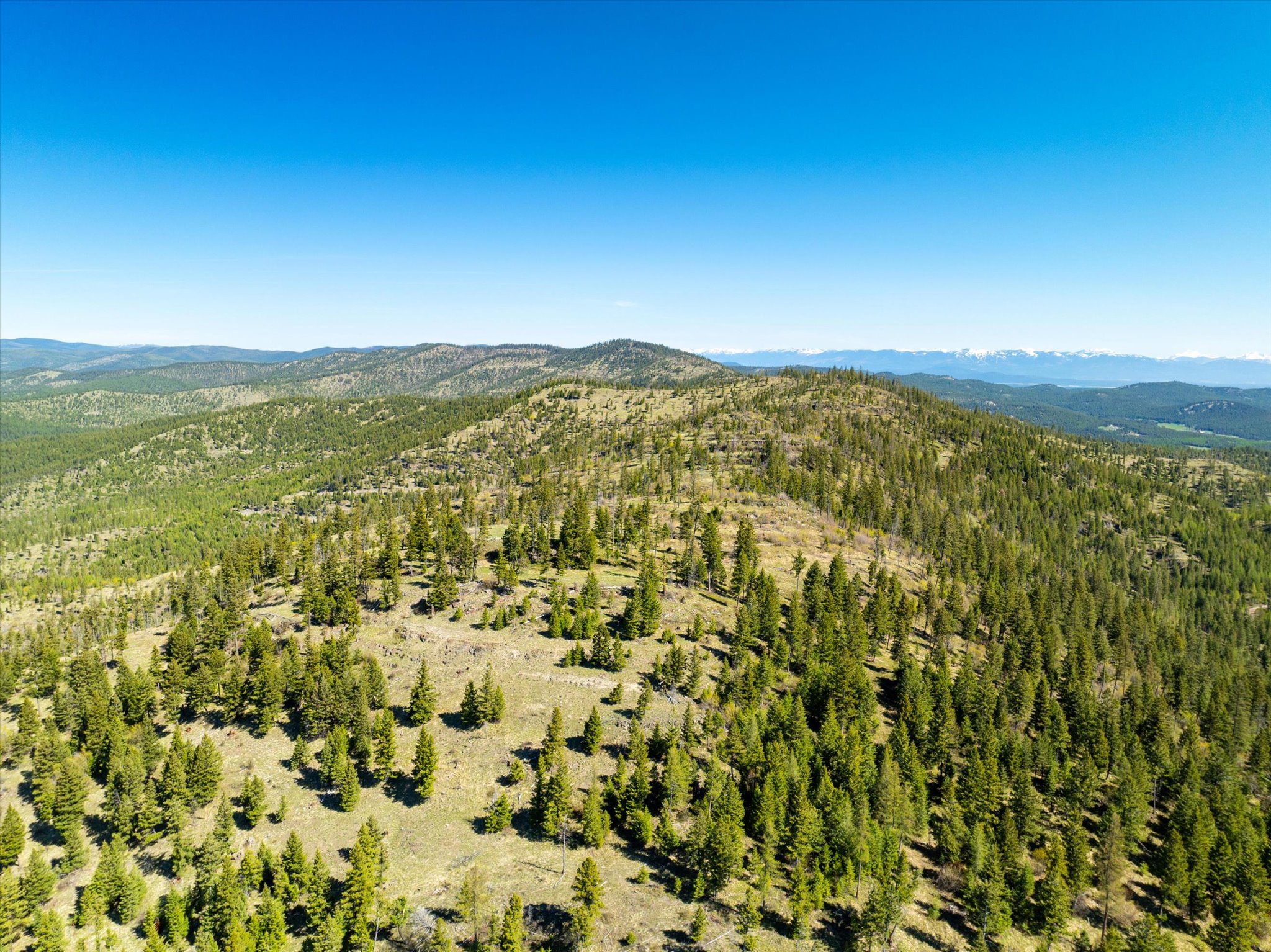 Nhn Ashley Lake Road Property Photo 29