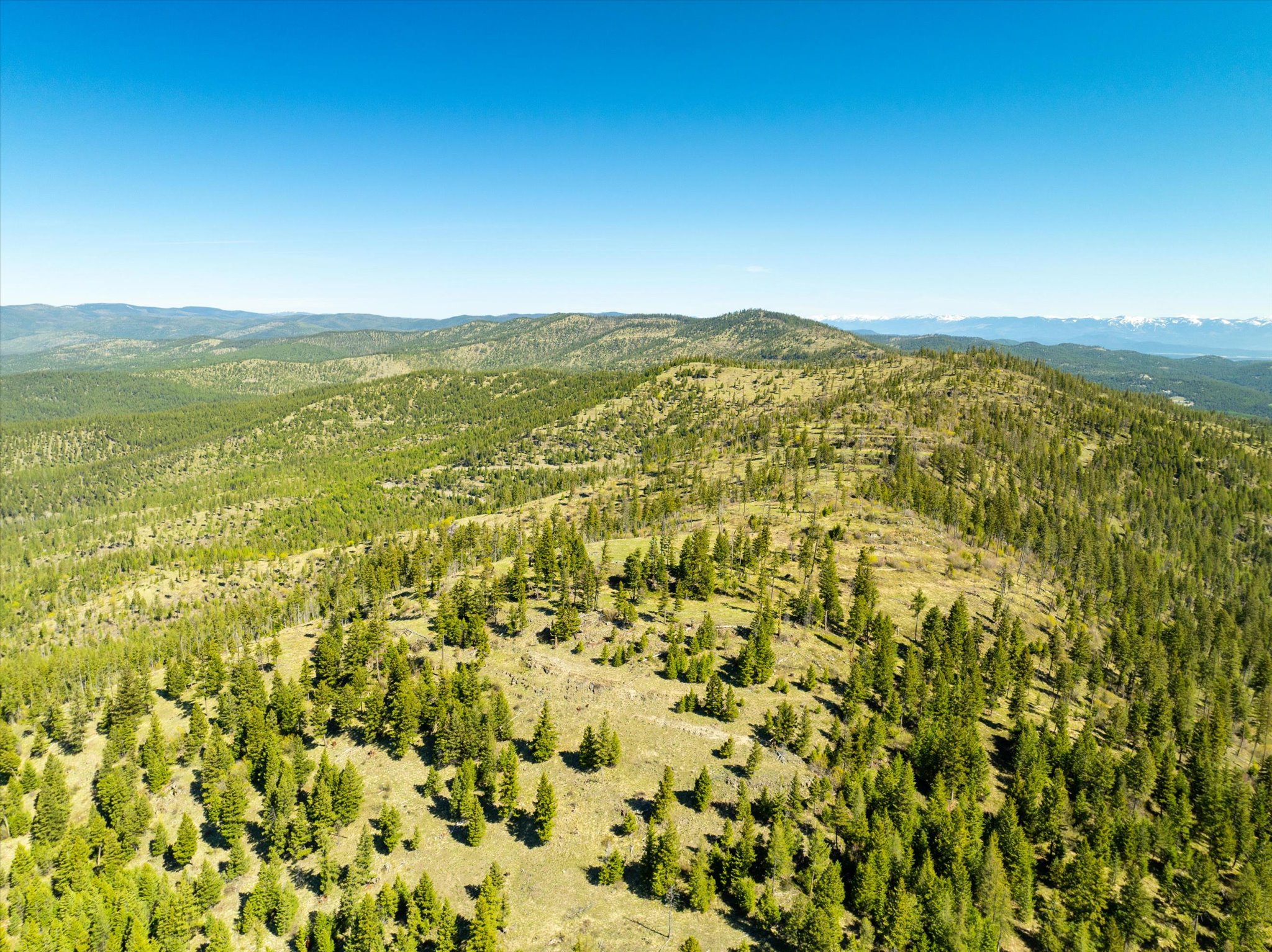 Nhn Ashley Lake Road Property Photo 30