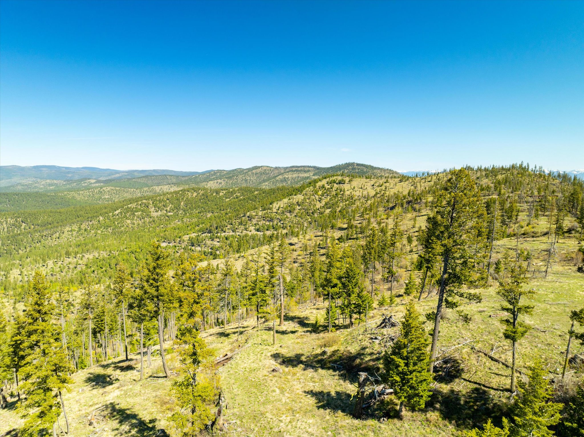 Nhn Ashley Lake Road Property Photo 32