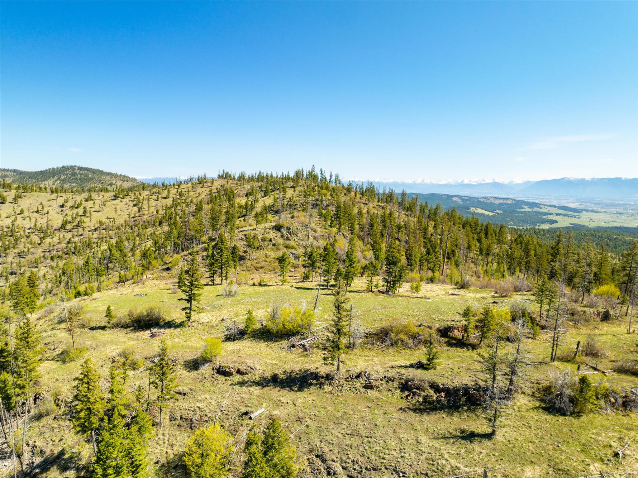 Nhn Ashley Lake Road Property Photo 39