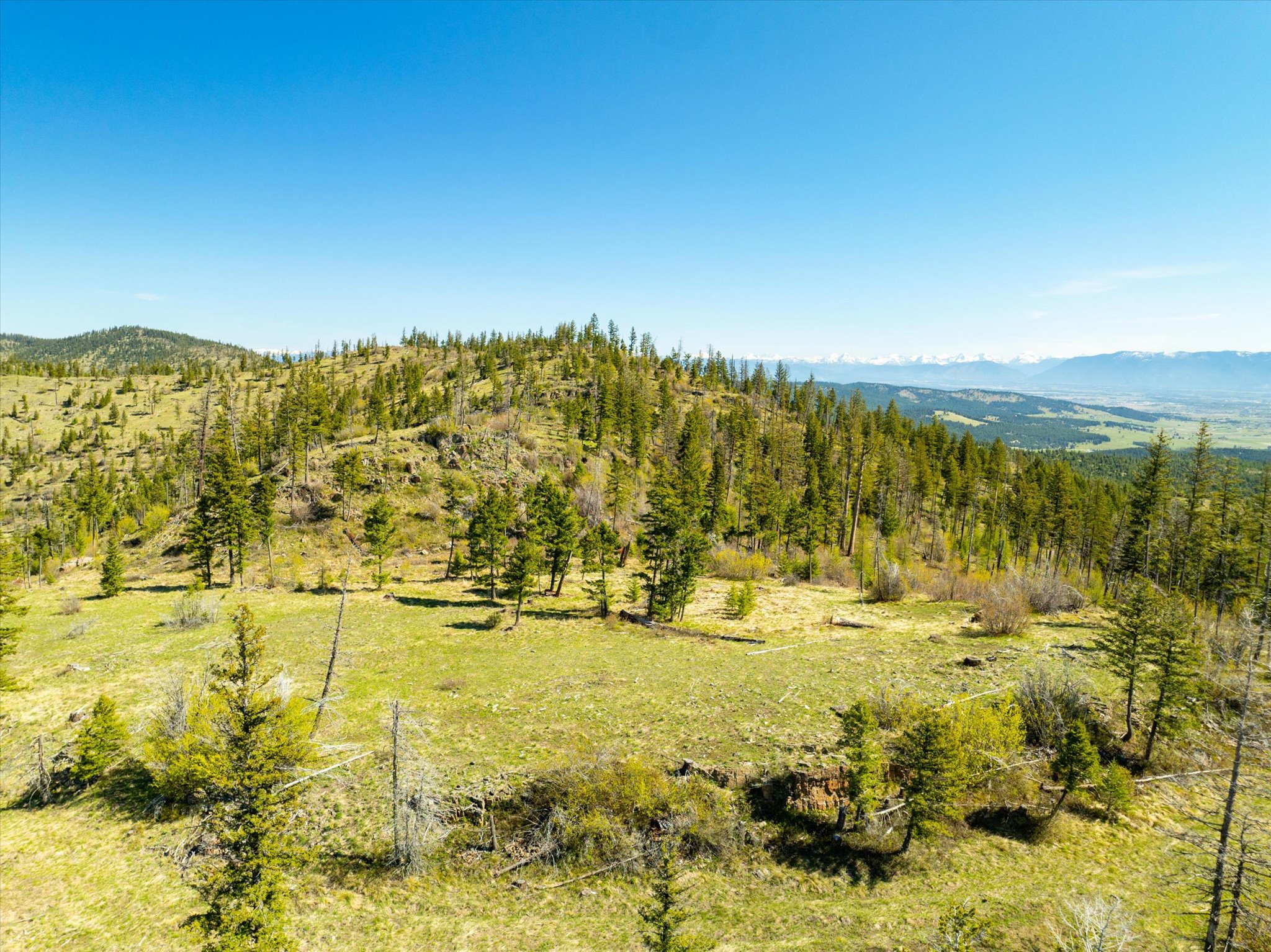 Nhn Ashley Lake Road Property Photo 43