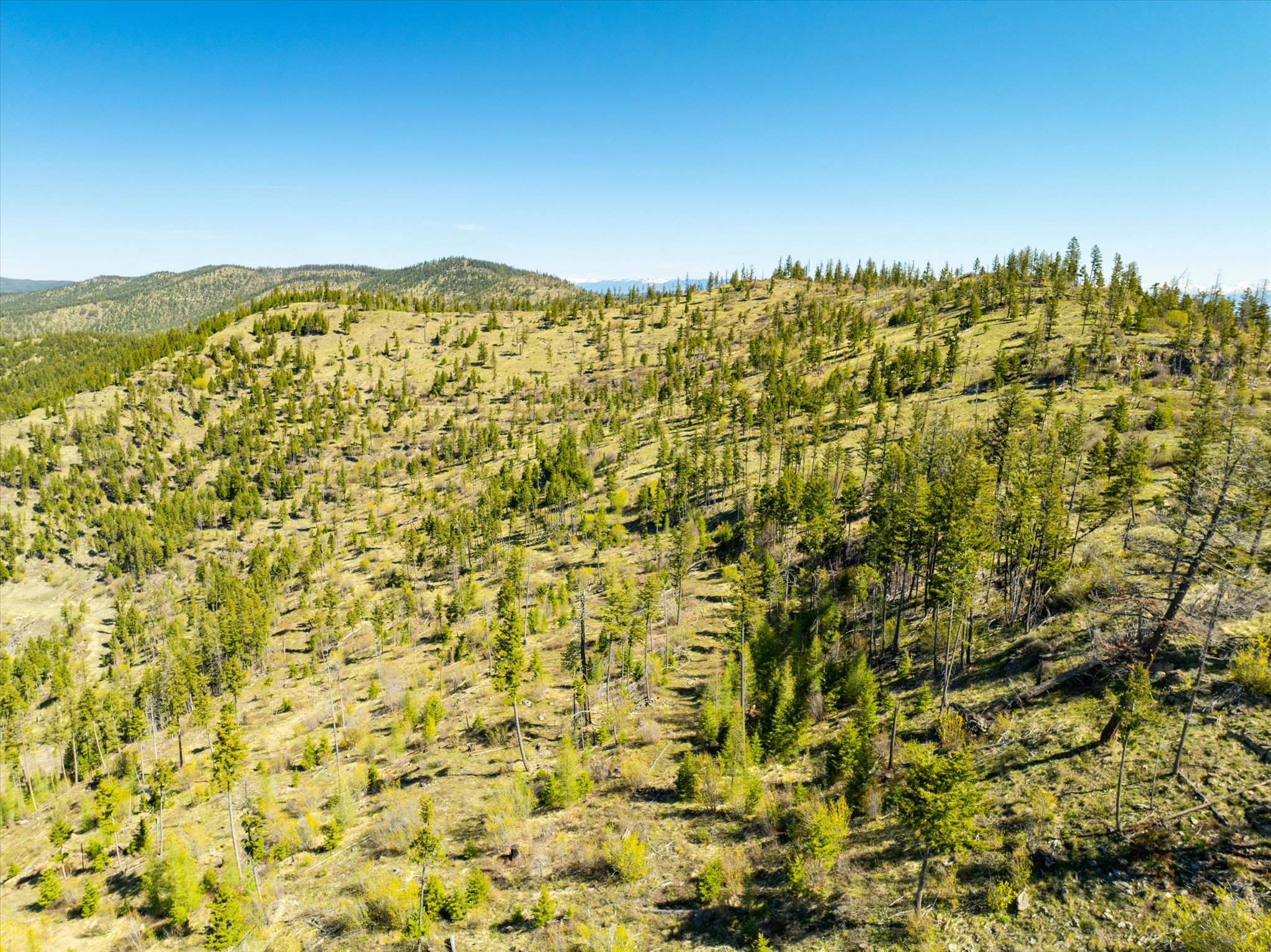 Nhn Ashley Lake Road Property Photo 56