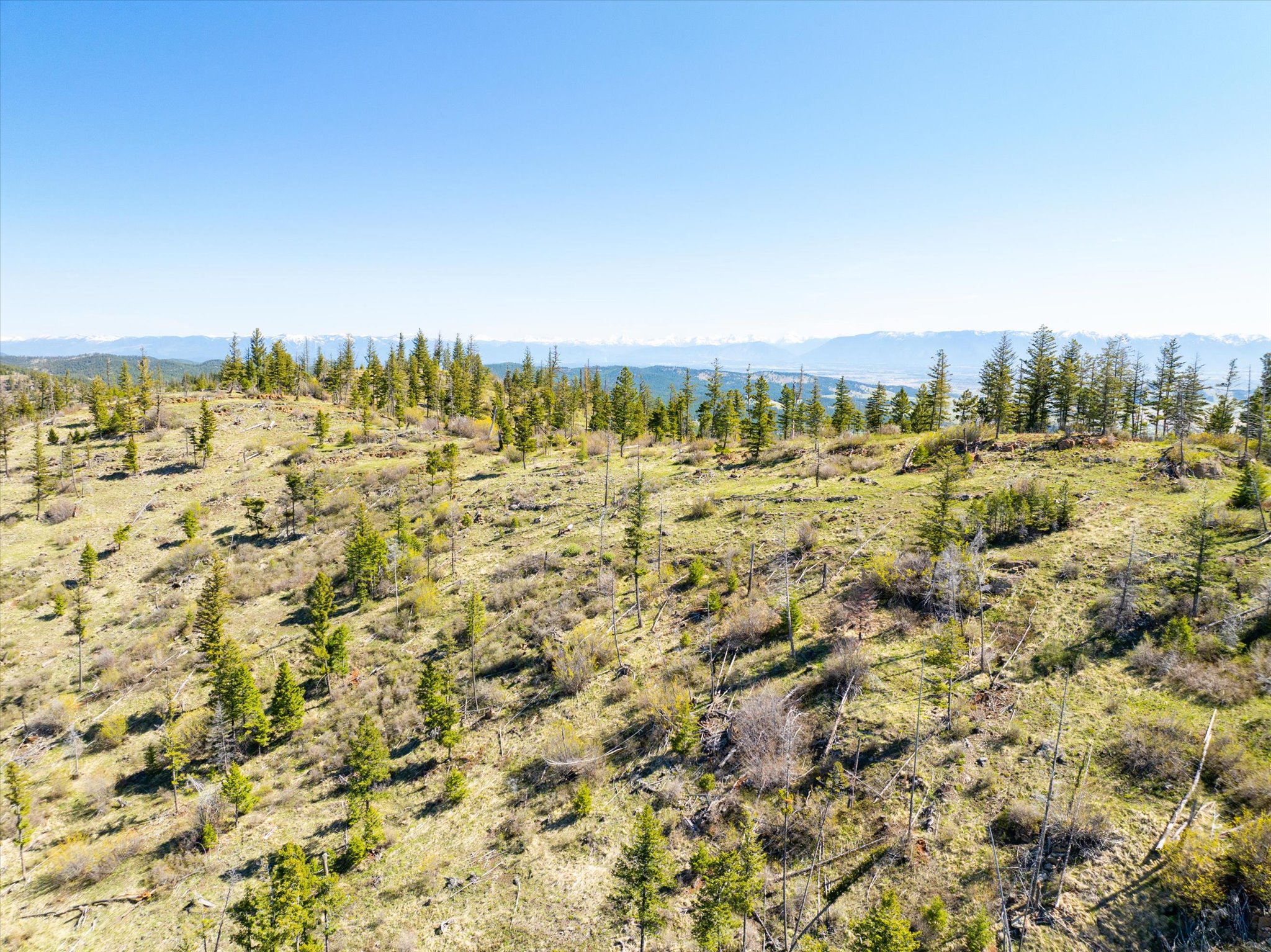Nhn Ashley Lake Road Property Photo 59