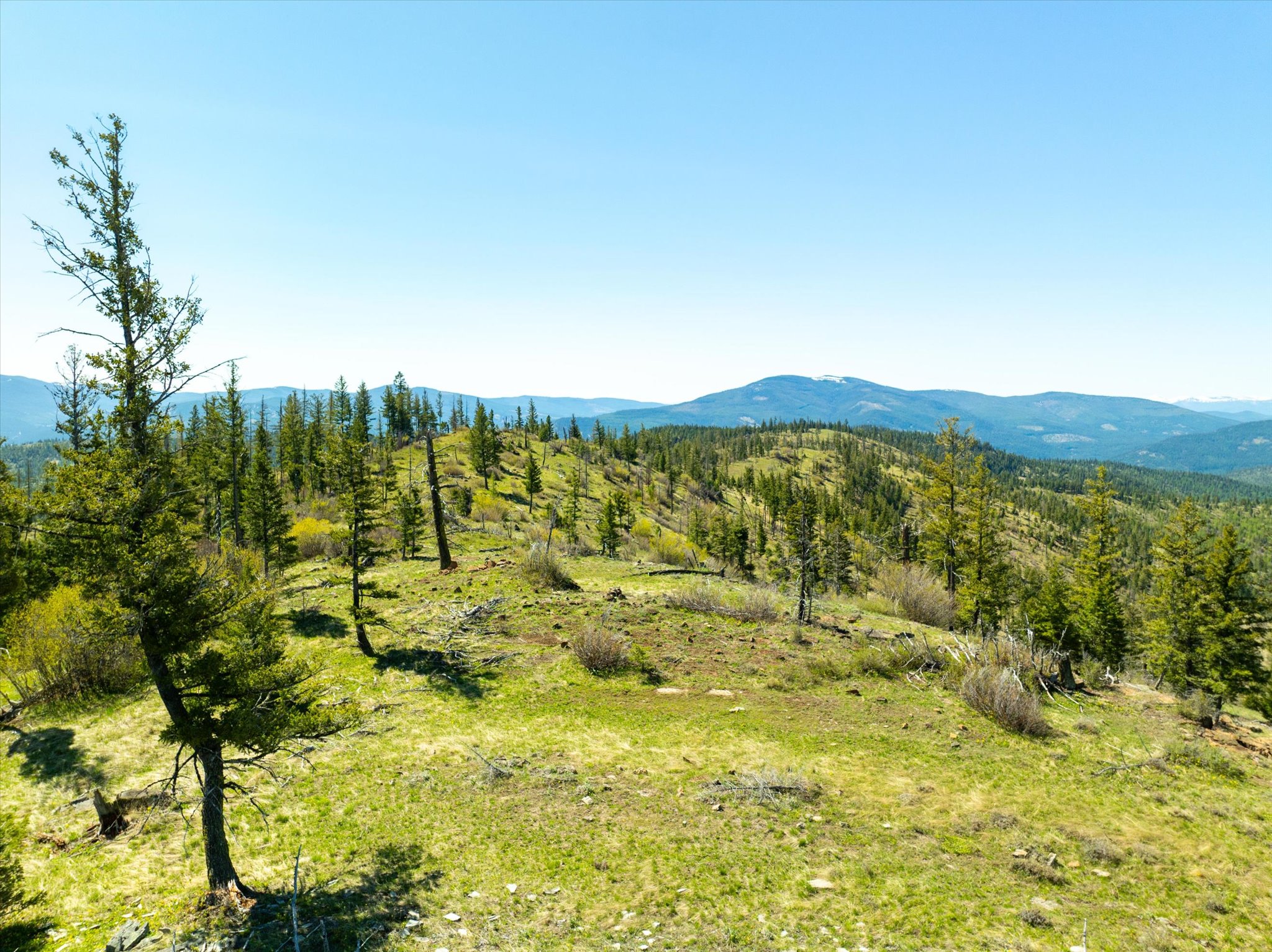 Nhn Ashley Lake Road Property Photo 69