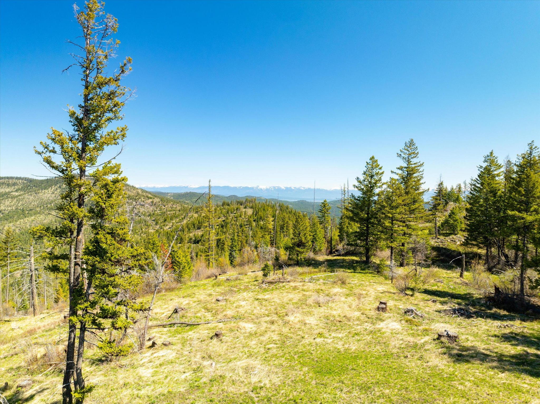 Nhn Ashley Lake Road Property Photo 73